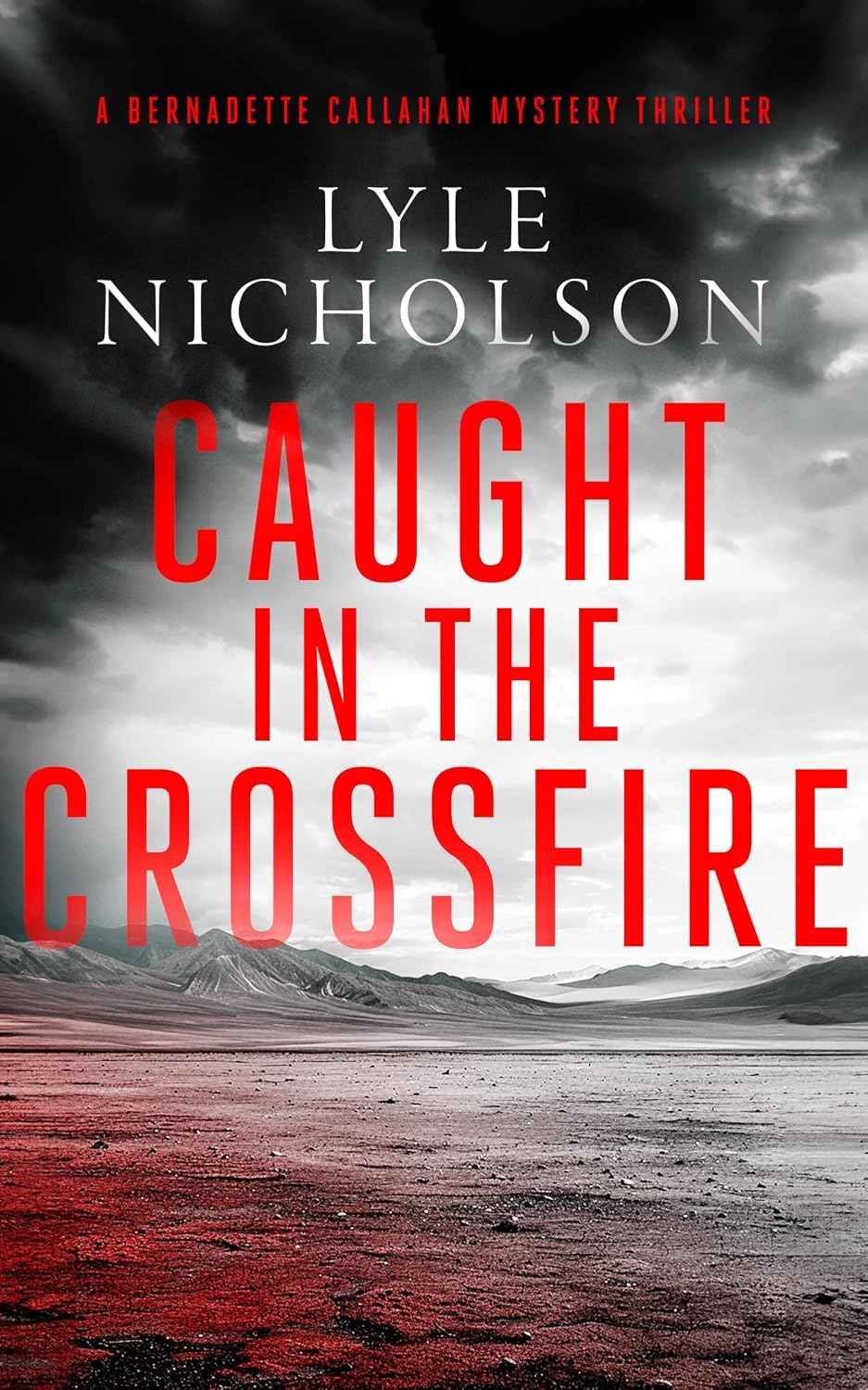 Close-up of Climate Killers and Caught In The Crossfire paperback covers from the Bernadette Callahan Series