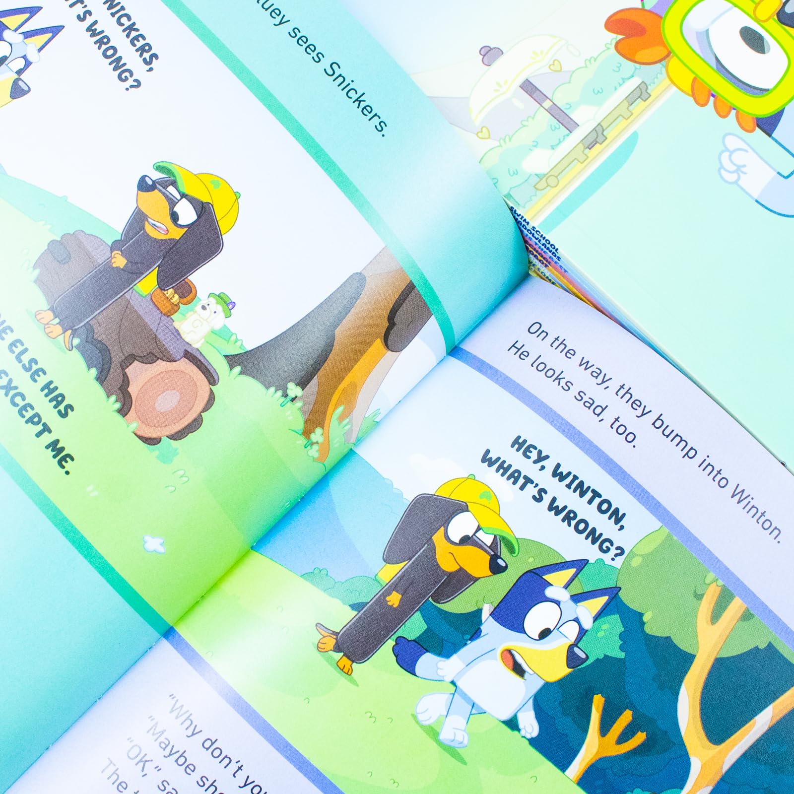 Close-up of an inside page spread from a Bluey paperback storybook showing colorful illustrations