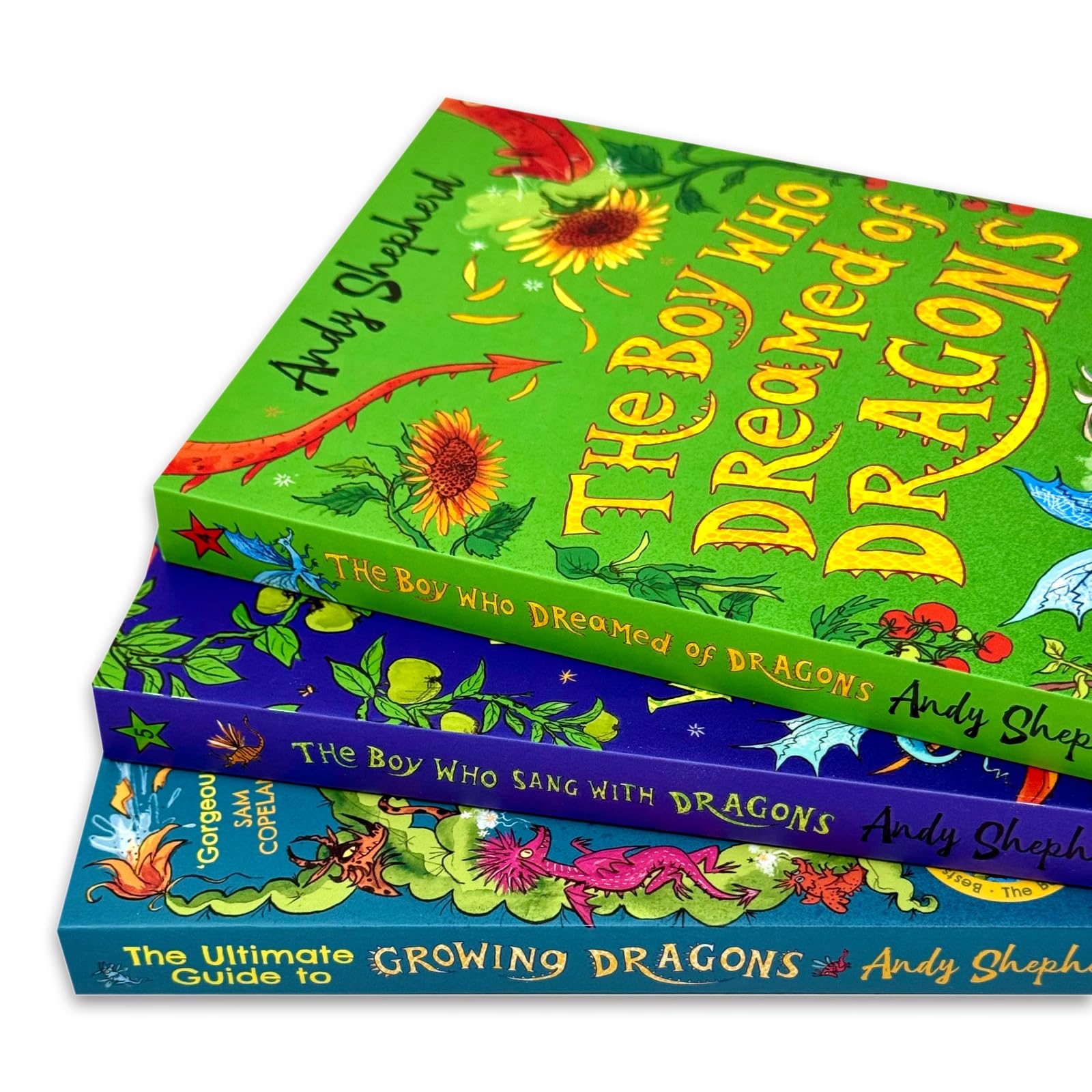 The Boy Who Sang with Dragons by Andy Shepherd, paperback front cover