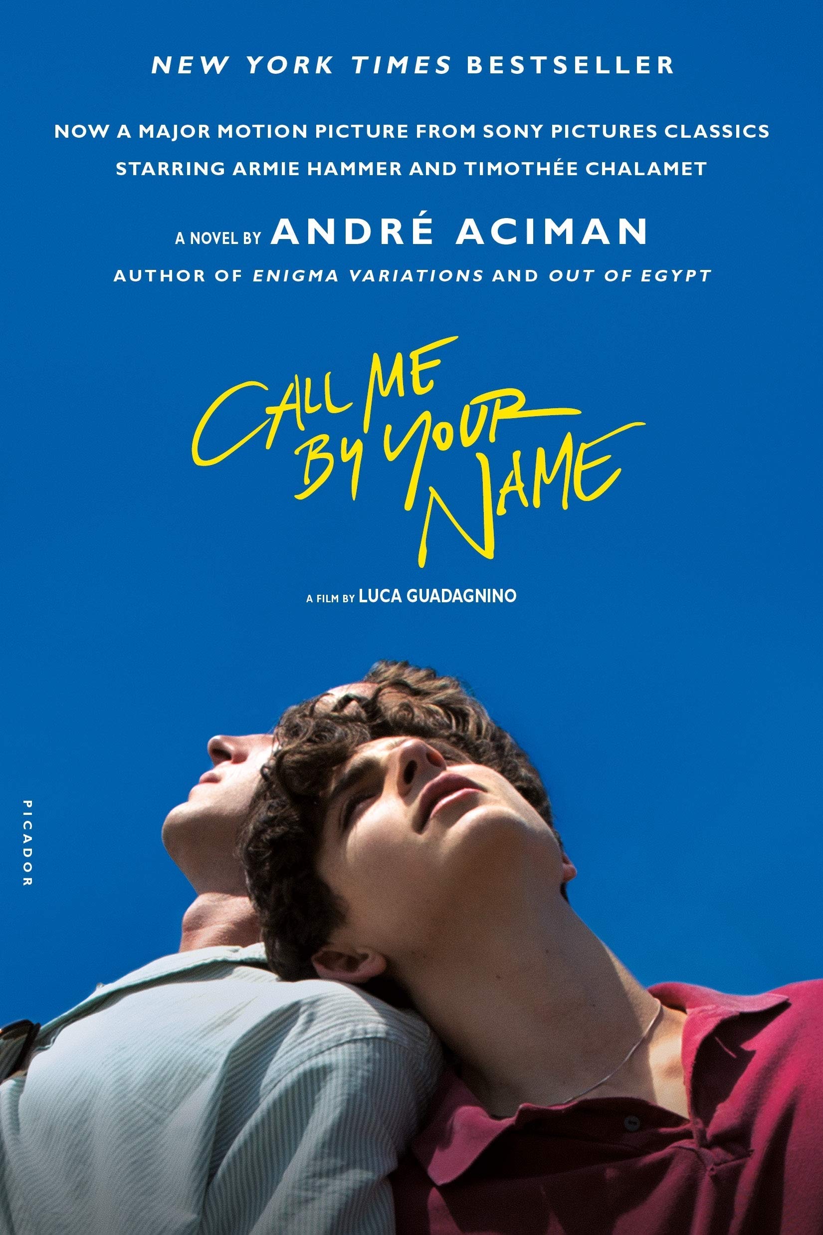Close-up of the Call Me By Your Name 2 books collection set spines and back covers, paperback fiction by André Aciman