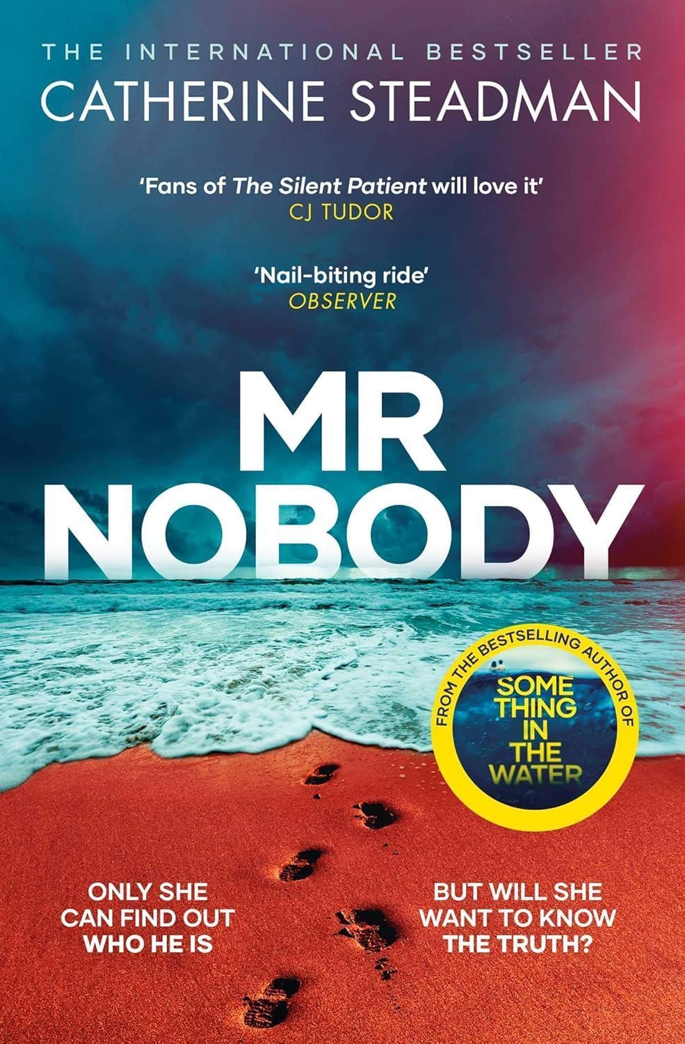 Mr Nobody by Catherine Steadman paperback front cover