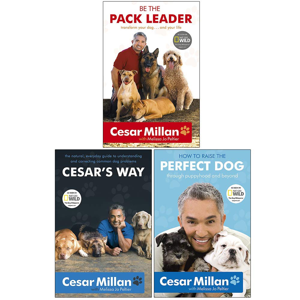 Cesar Millan 3 Books Collection Set paperback featuring Be the Pack Leader, Cesar's Way, and How to Raise the Perfect Dog, front covers shown together.
