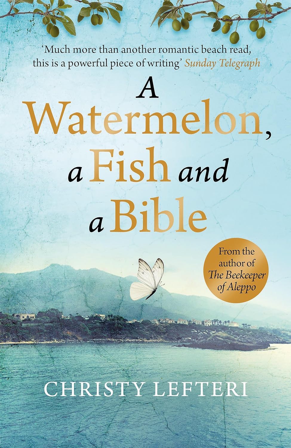 A Watermelon, a Fish and a Bible paperback cover by Christy Lefteri, included in this 4 book fiction collection