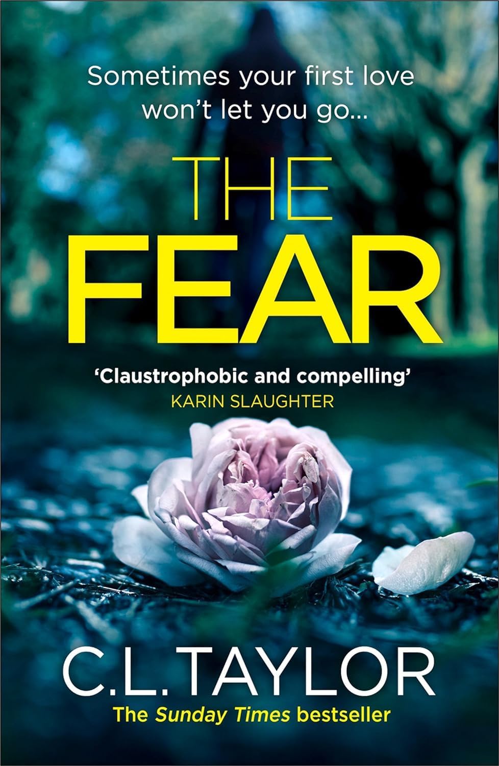 Close-up of The Fear paperback cover by C.L. Taylor from the 3 books collection set
