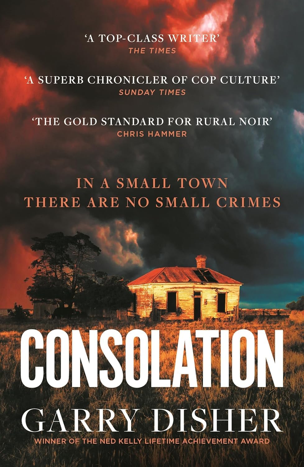 Stacked paperback copies of the Constable Hirsch Mysteries 5 book set by Garry Disher