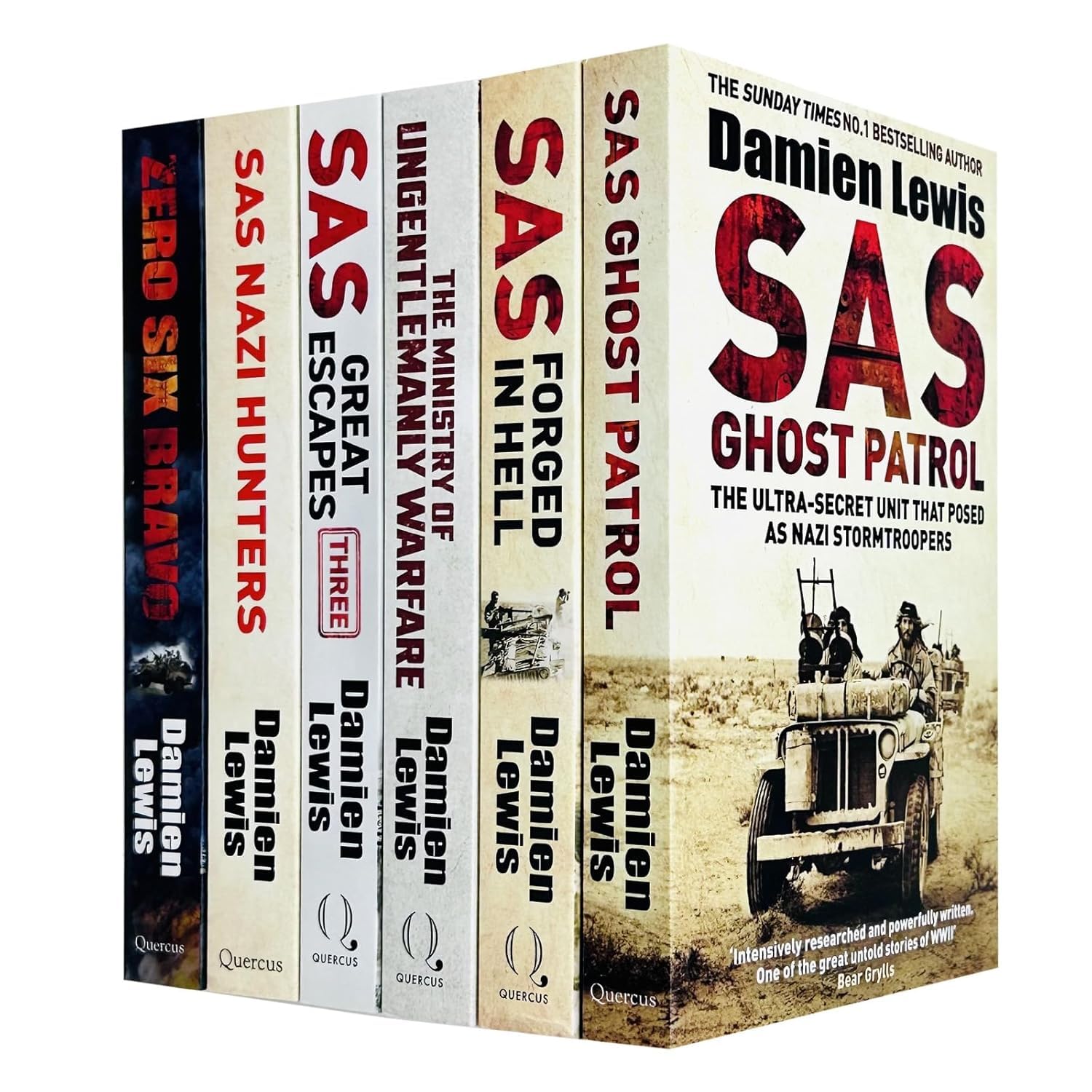 Damien Lewis SAS 6-book paperback collection set fanned out showing all front covers
