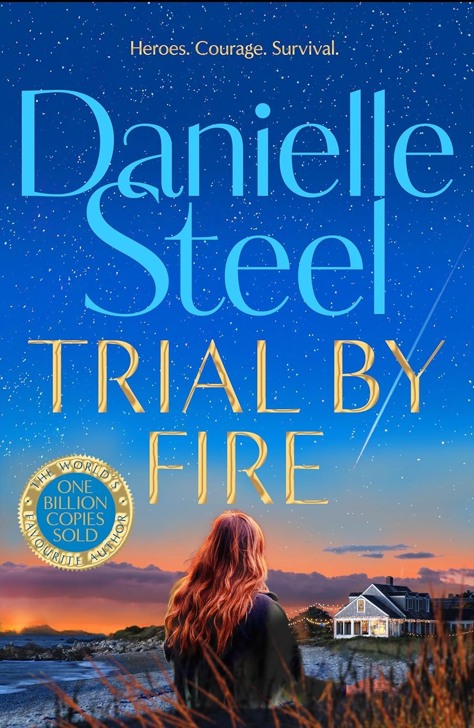 Close-up of Far From Home and Never Say Never paperback covers from the Danielle Steel collection set