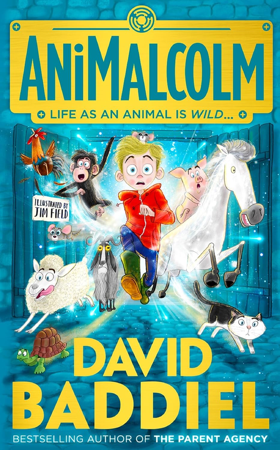 AniMalcolm and Birthday Boy paperback book covers from the David Baddiel 10 Books Set