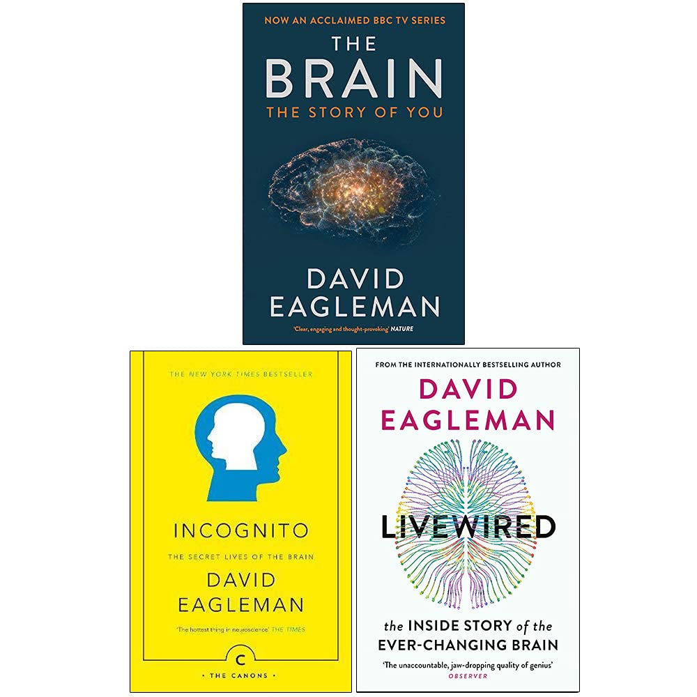 Close-up front cover of The Brain: The Story of You by David Eagleman, Canongate paperback edition