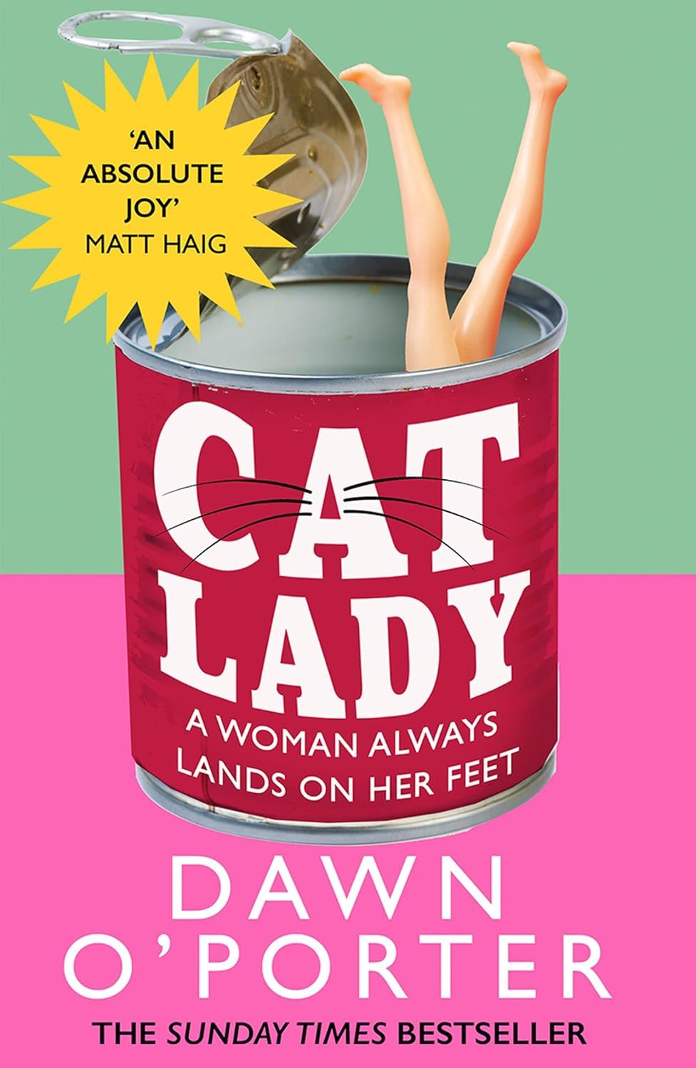 Cat Lady by Dawn O'Porter paperback front cover, witty fiction about identity and self-acceptance