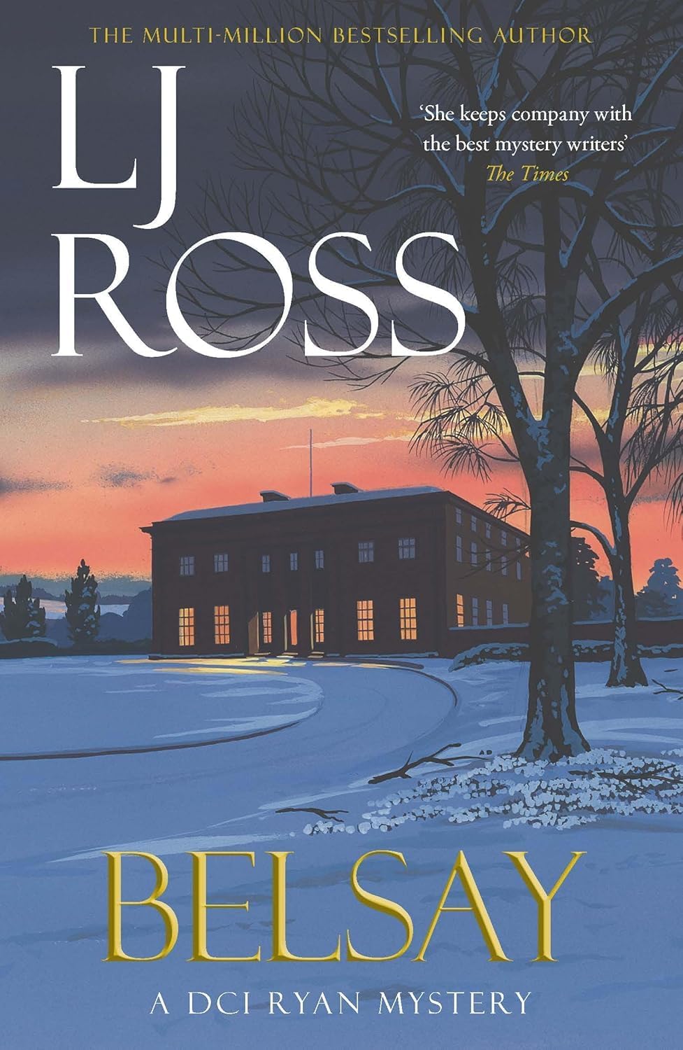 Close-up of the paperback spines for the DCI Ryan Mysteries 3-book set by LJ Ross