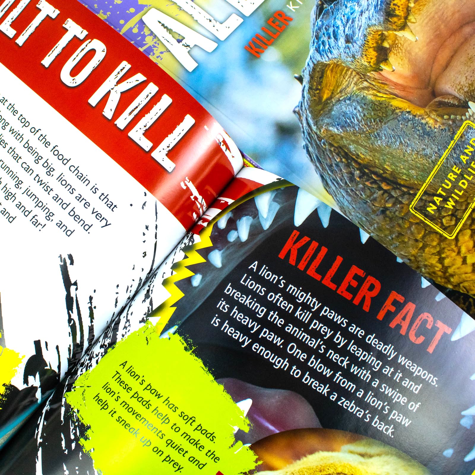 All six Deadly Predators paperback books fanned out showing Alligator, Boa Constrictor, Lion, Polar Bear, Shark, and Wolf covers