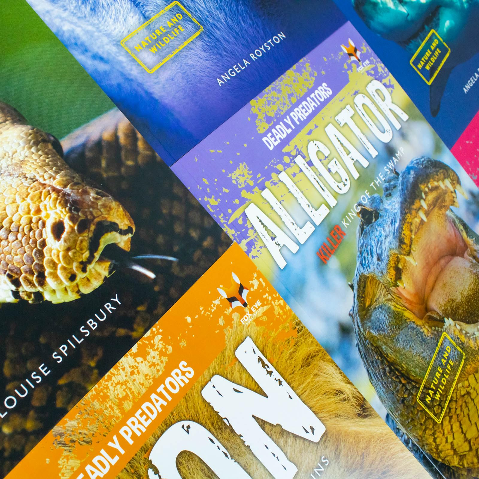 Inside page spread from the Deadly Predators collection showing predator photographs and fact captions