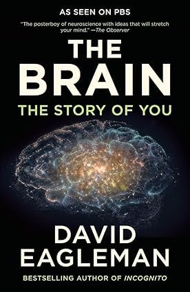 The Brain by David Eagleman paperback cover, part of the Brain Science 3 books collection set