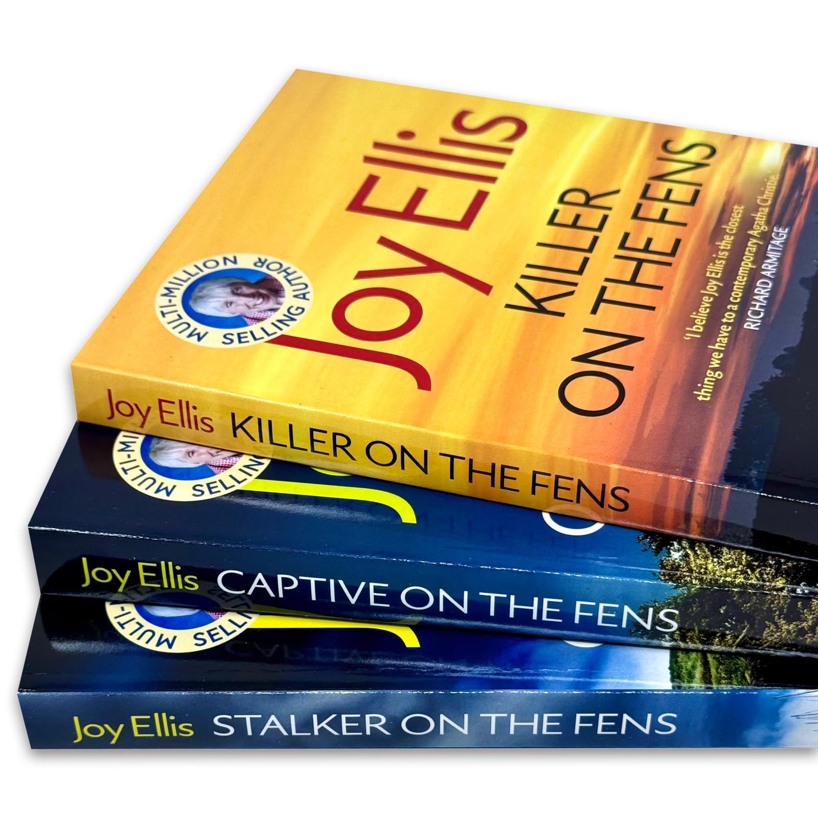 Front cover of Captive on the Fens, book 6 in the Detective Nikki Galena series by Joy Ellis, paperback edition