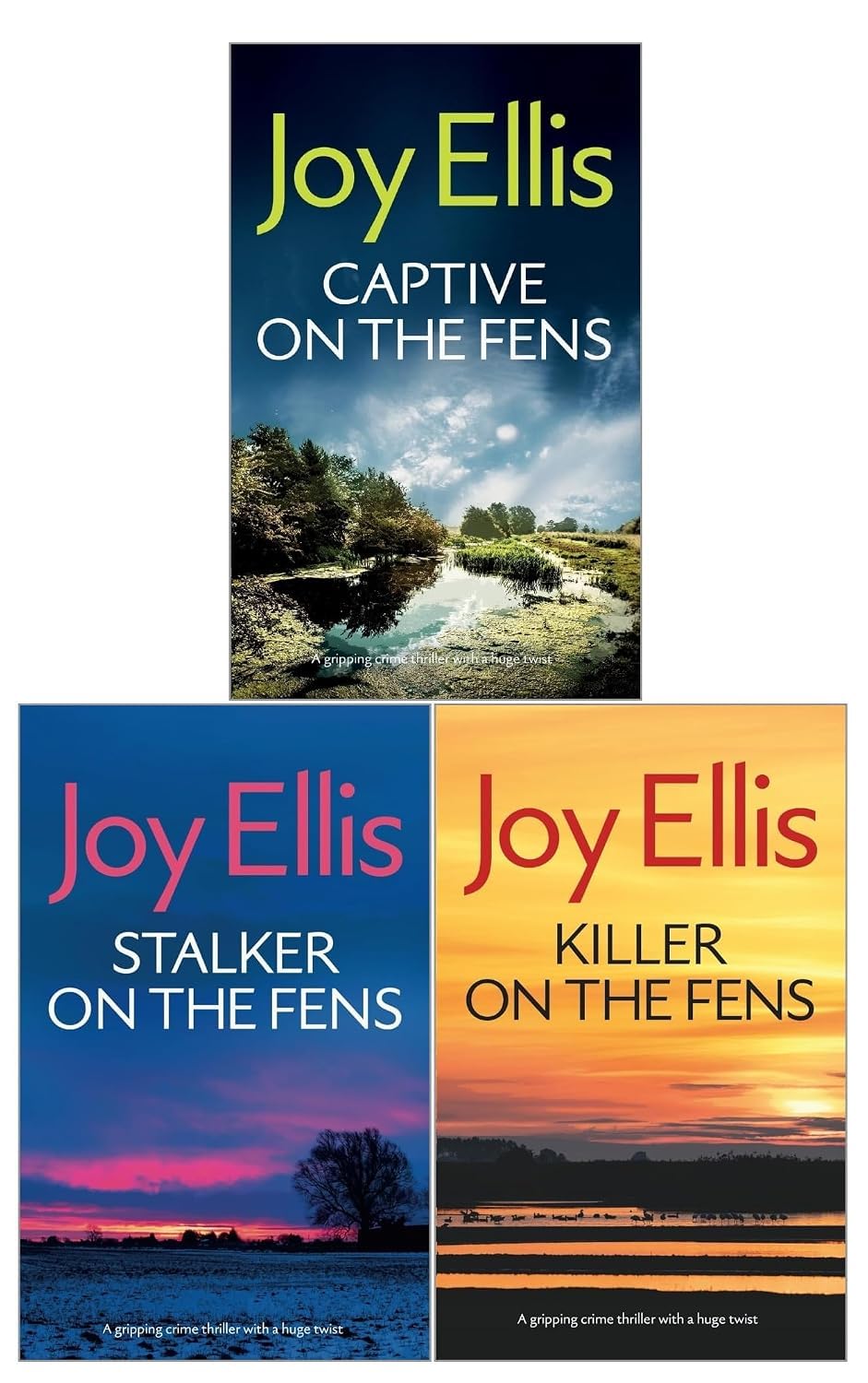 Back cover synopsis of Stalker on the Fens by Joy Ellis, paperback crime thriller