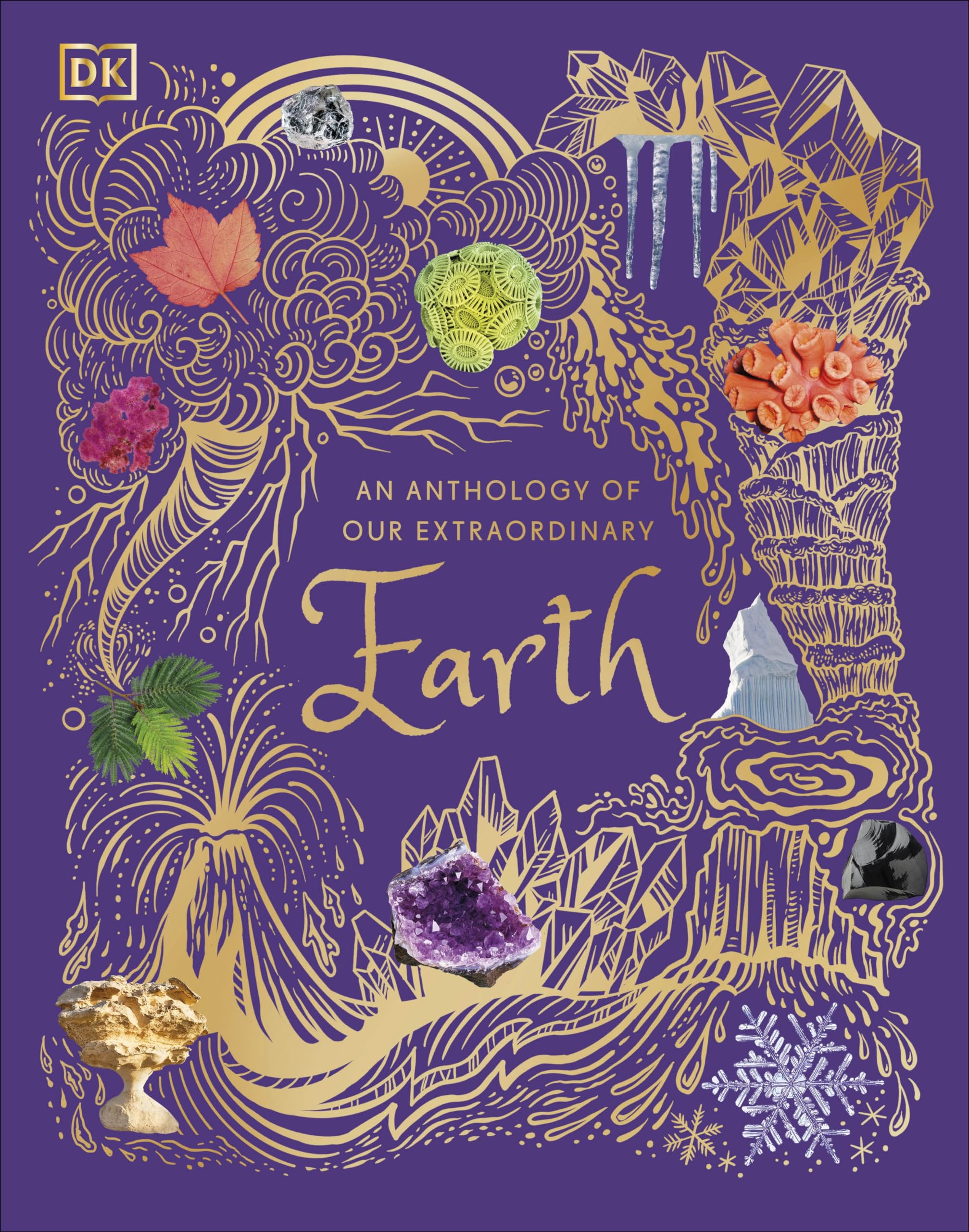 An Anthology of Our Extraordinary Earth by Cally Oldershaw hardcover front cover, DK Children's Anthologies series