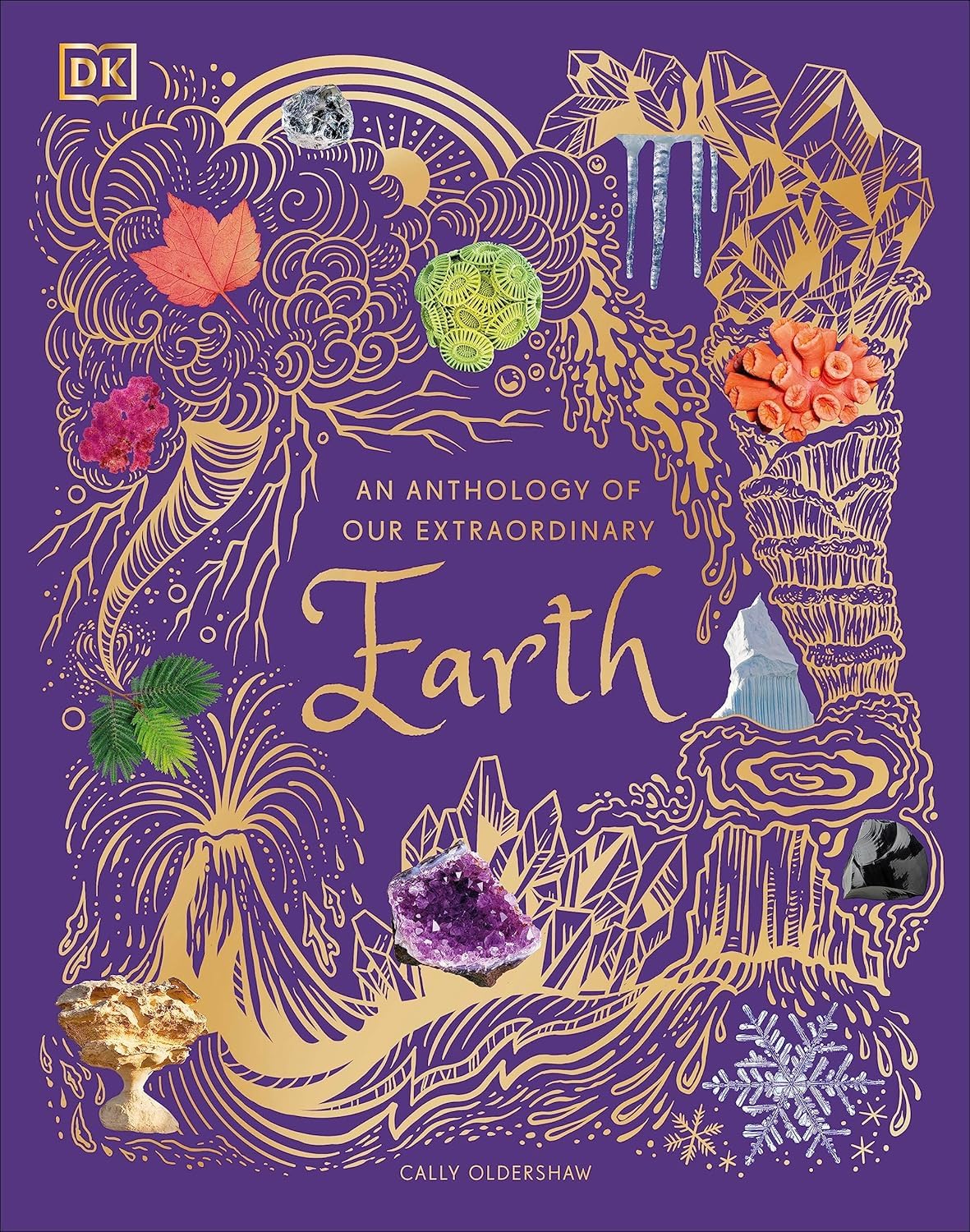 Front cover of An Anthology of Exquisite Birds by Ben Hoare, hardback DK Children's Anthologies