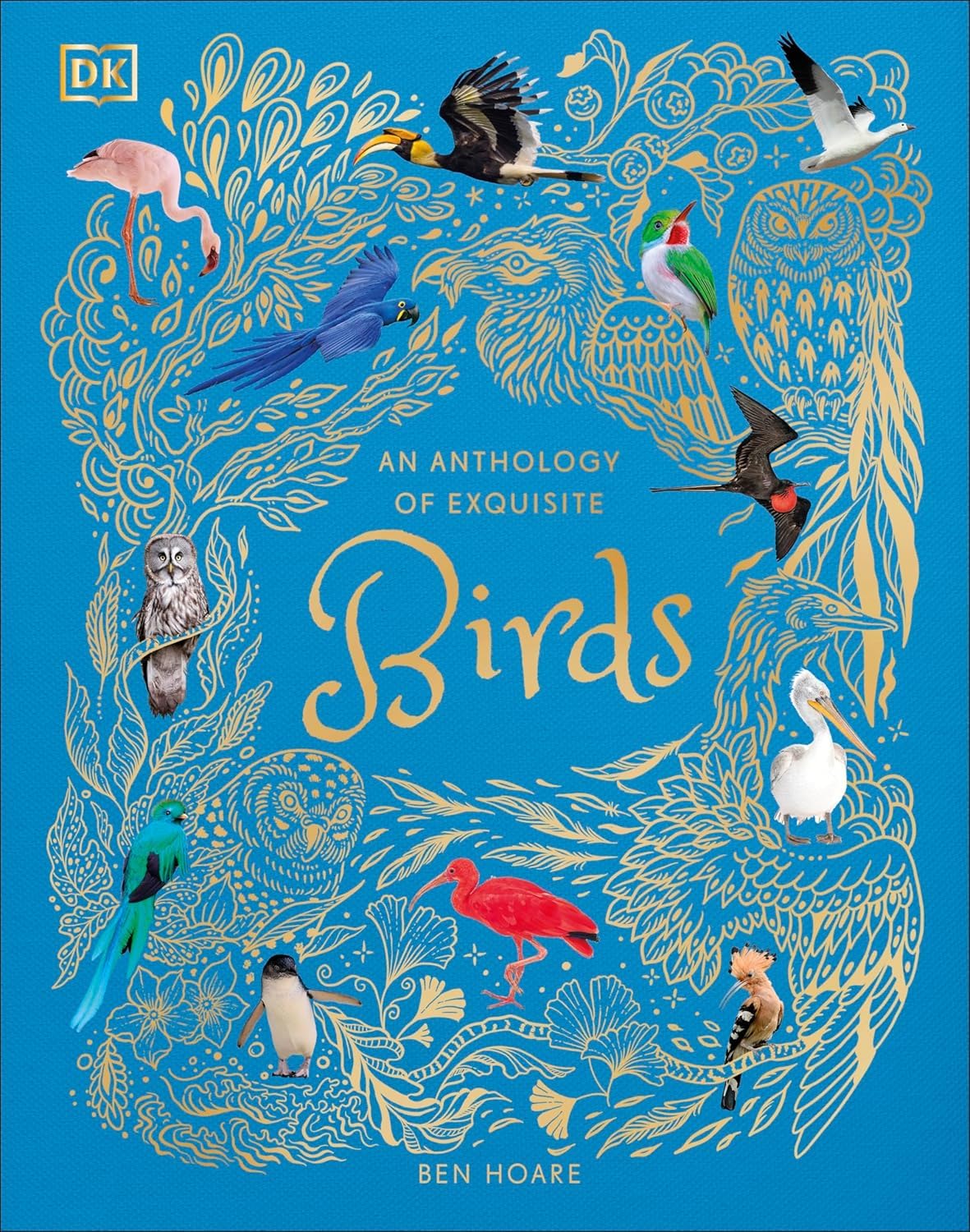 All three DK Children's Anthologies hardback books - Bugs, Earth, and Birds - fanned out together as a set