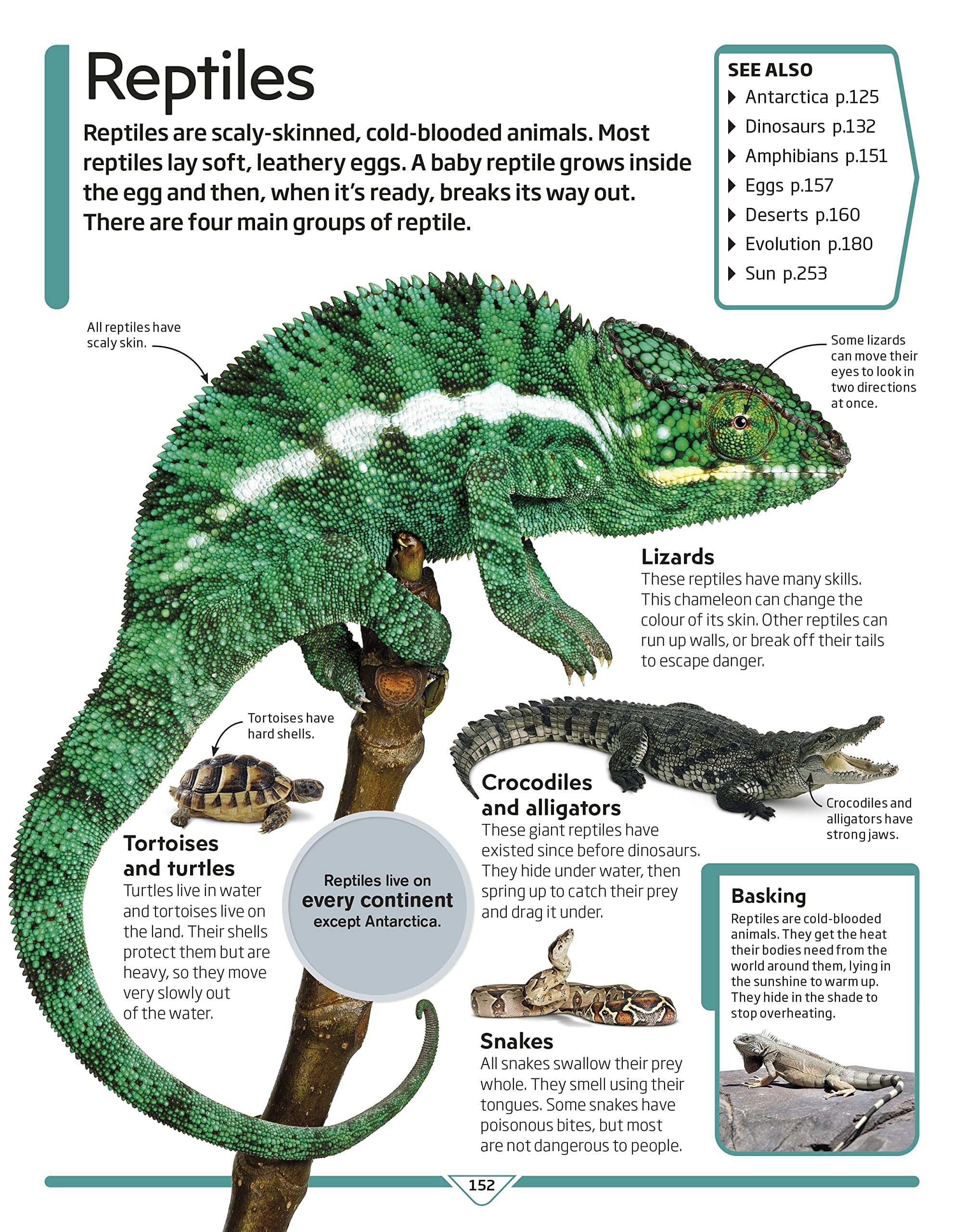 Back cover of DK Children's Encyclopedia showing topic highlights and age range for ages 7-9