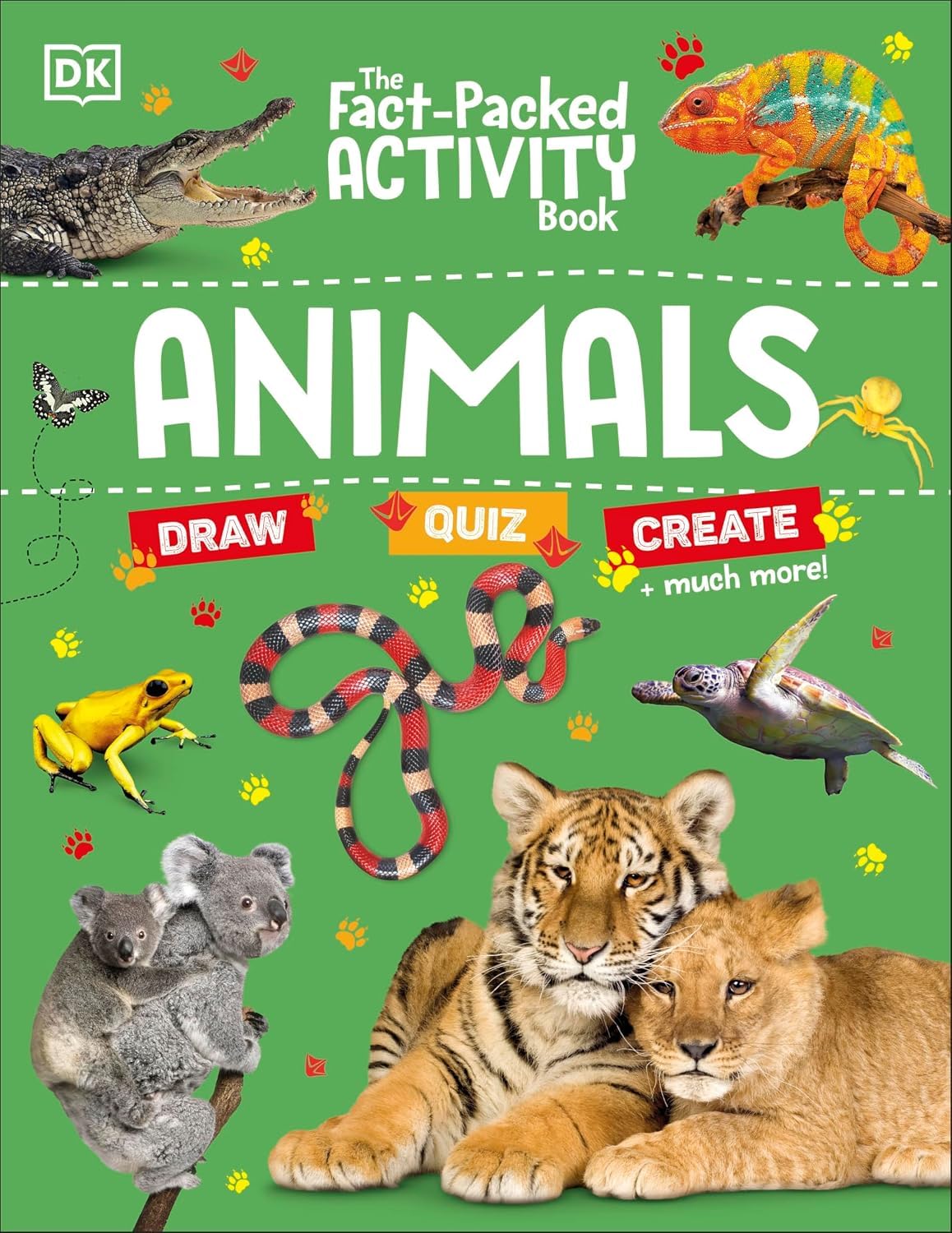 All four DK Fact-Packed Activity Book paperbacks fanned out, showing Space, Dinosaurs, Animals, and Human Body covers side by side