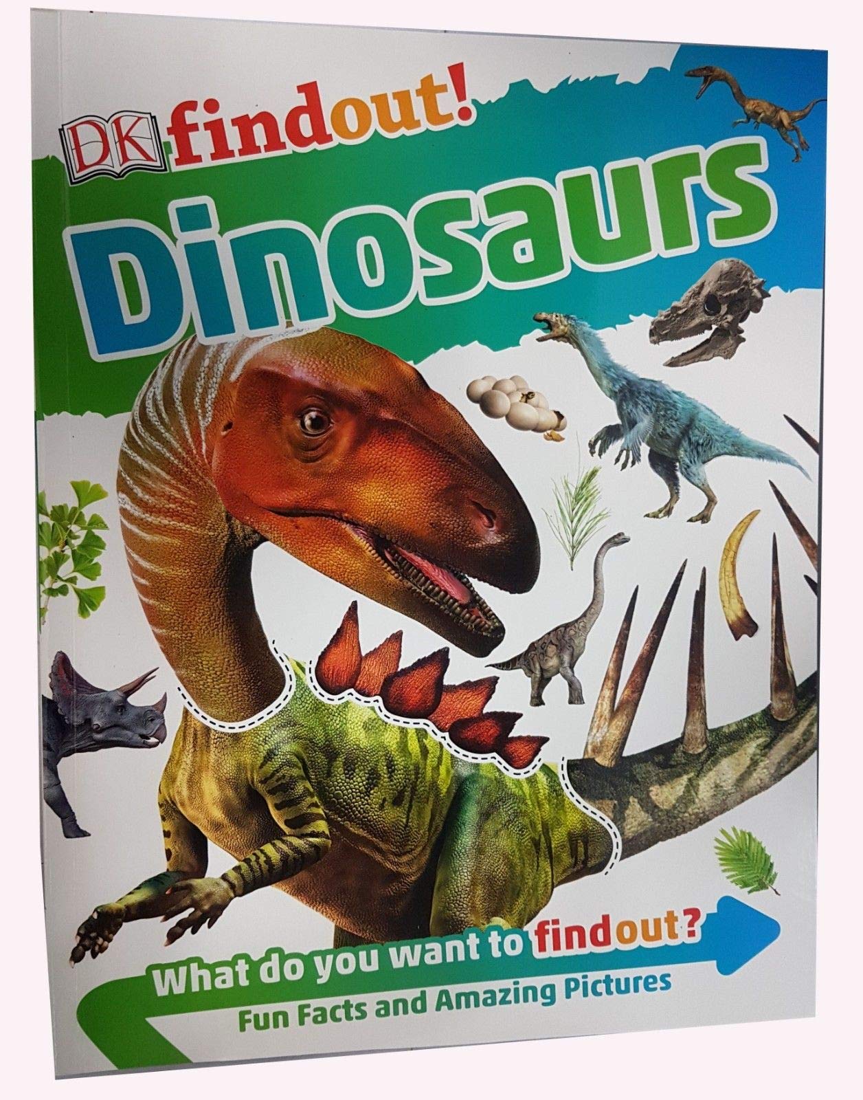 Close-up of the DK Find Out Dinosaurs and Animals paperback covers with bold photography.