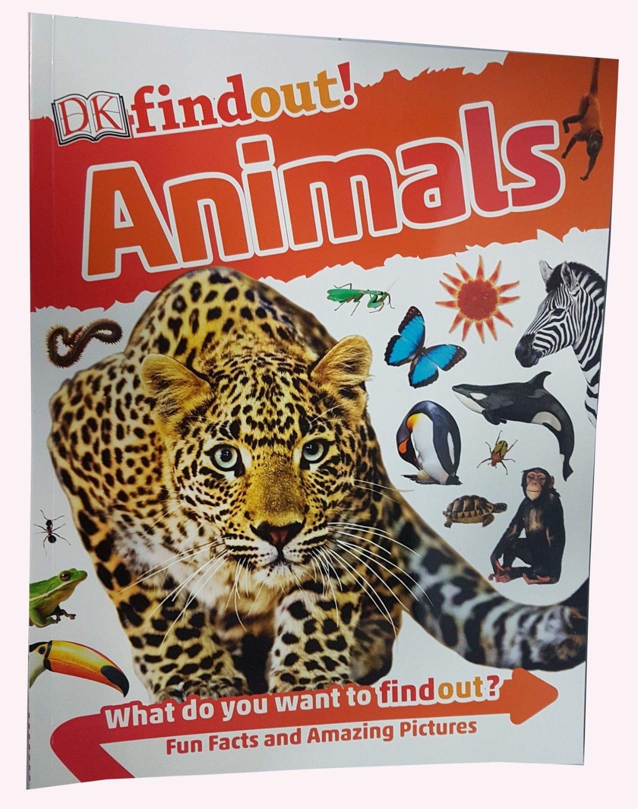 Close-up of the DK Find Out Earth and Human Body paperback covers for ages 6-9.