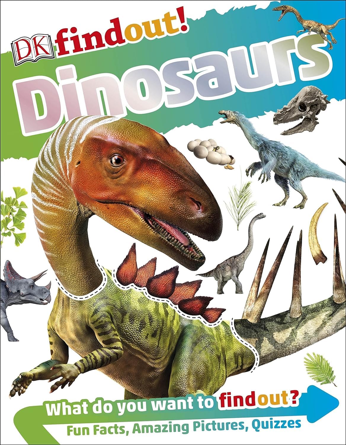 Back cover view of the DK Findout! 10 Books Collection Set highlighting Earth, Birds, Bugs, Sharks, and Reptiles and Amphibians titles
