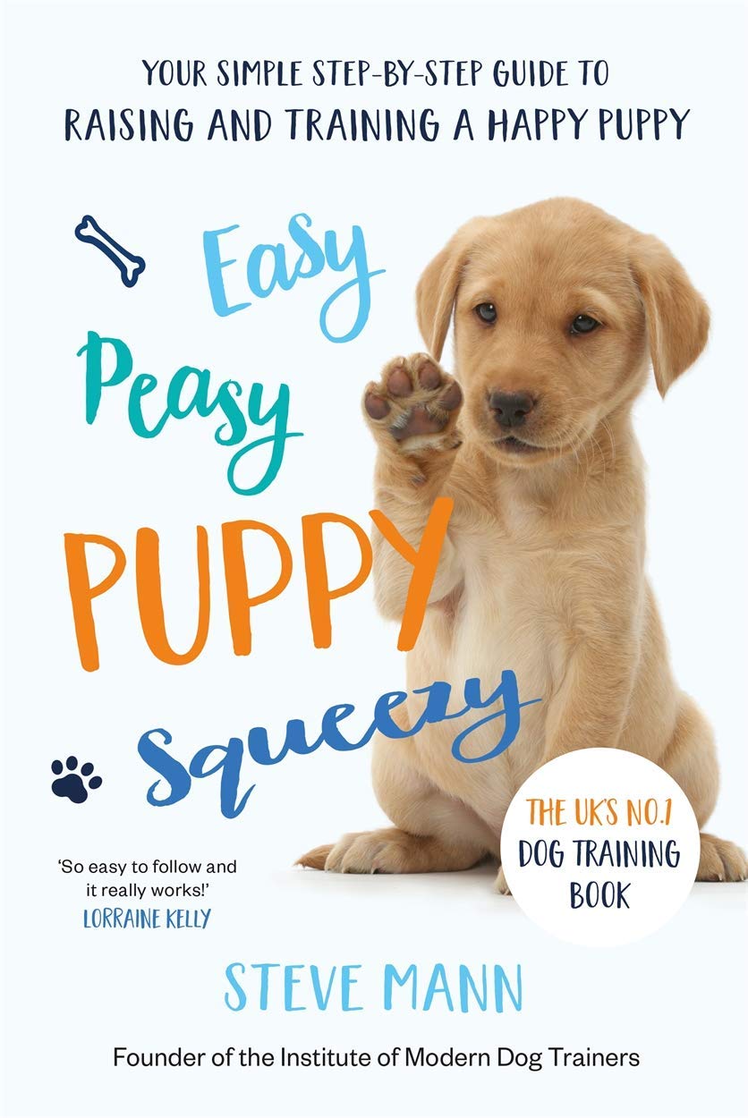 Front cover of Brain Teasers for Dogs paperback puzzle and enrichment book for dogs