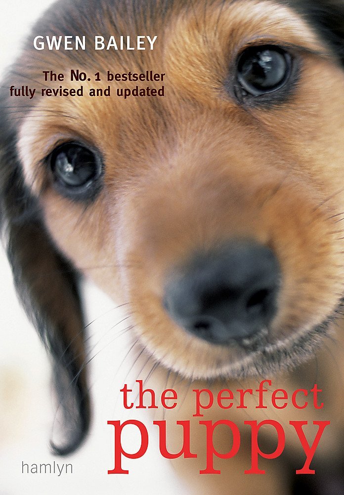Front cover of Doggie Language illustrated paperback guide to canine body language