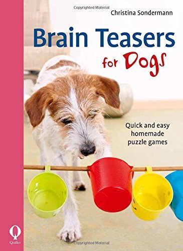 Front cover of You and Your Border Terrier breed-specific paperback dog care guide