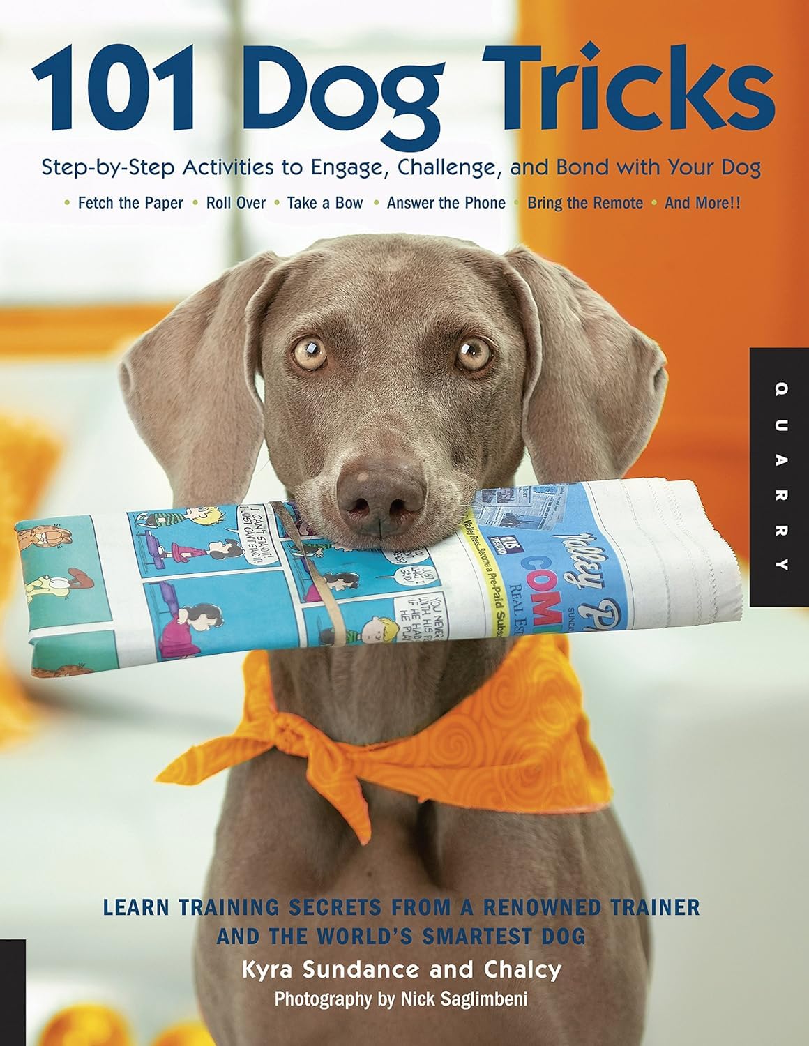 101 Dog Tricks by Kyra Sundance paperback front cover with photo-illustrated trick guide