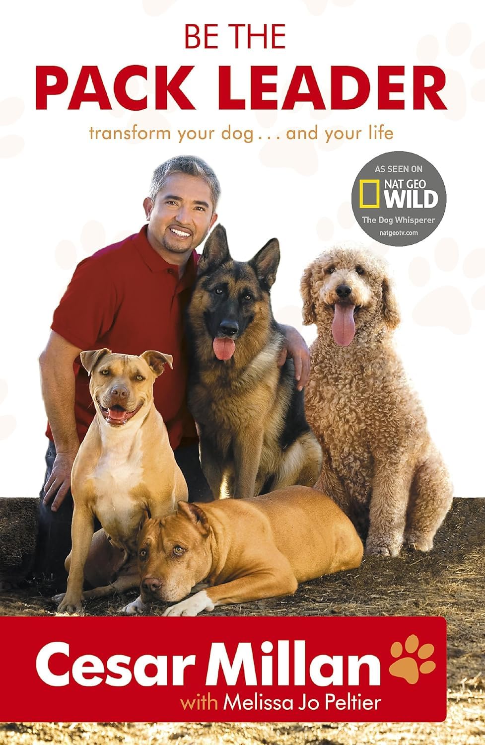 Be the Pack Leader by Cesar Millan paperback front cover, all five books fanned out