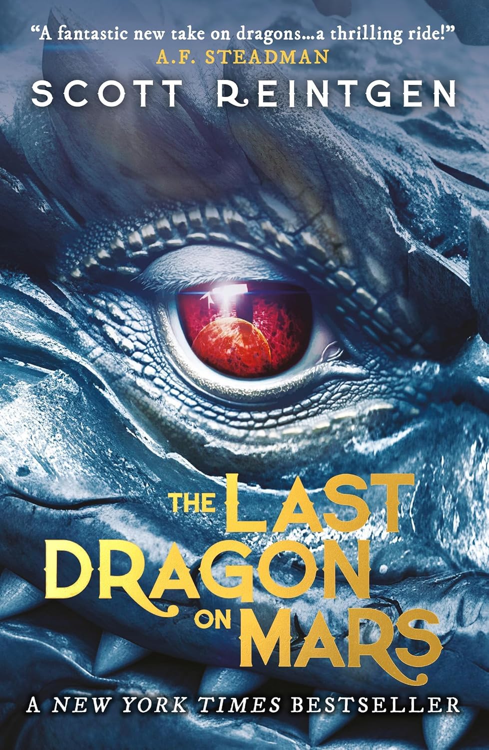 Close-up of The Last Dragon on Mars paperback cover from the Dragonships series by Scott Reintgen, ages 9-12 fantasy sci-fi book