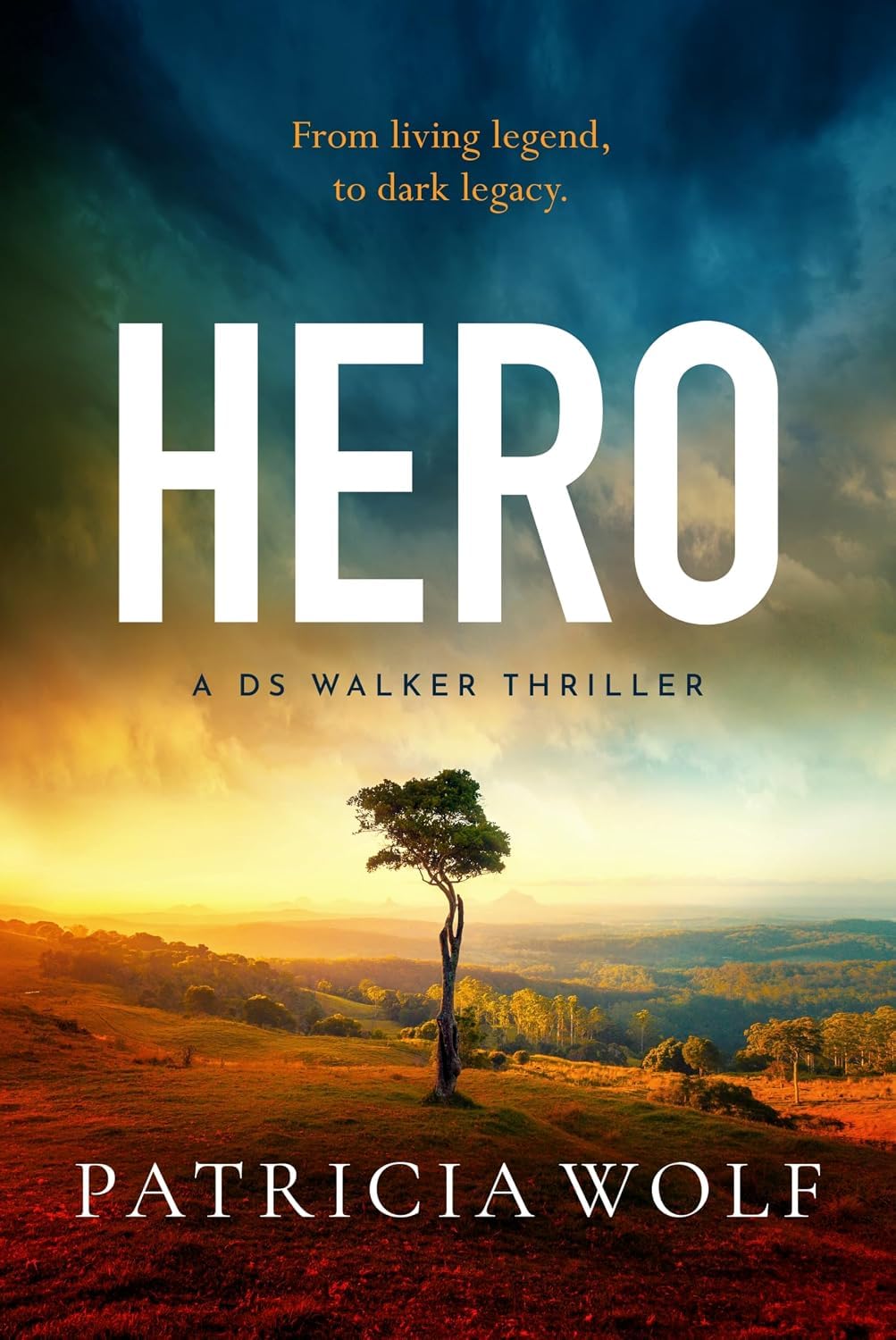 Hero by Patricia Wolf - DS Walker Thriller Book 5 paperback front cover