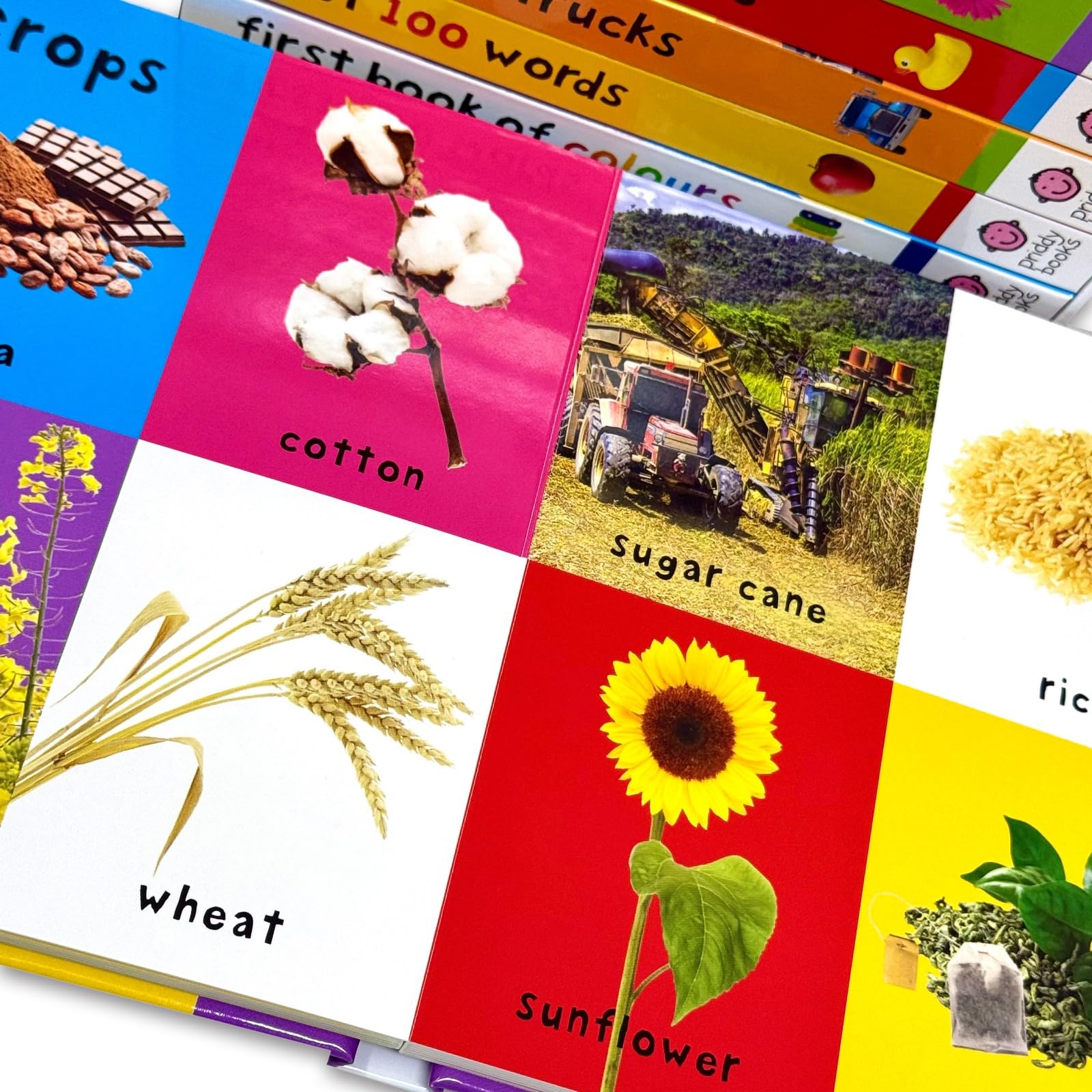 Back of the First 100 Library box set packaging showing the 7 board book titles and age range for babies and toddlers