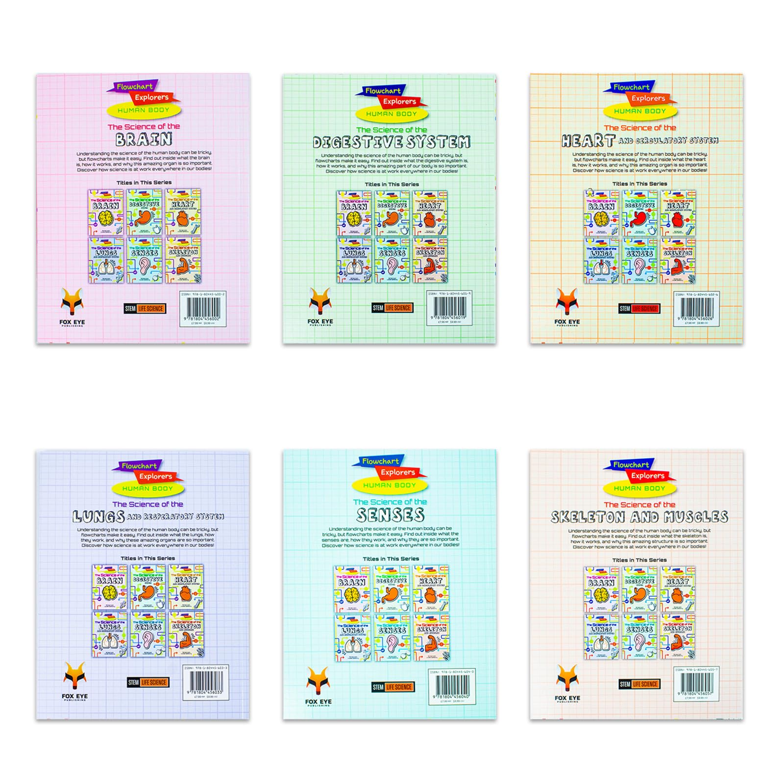 back cover of the Flowchart Explorers Human Body set with series description and titles list