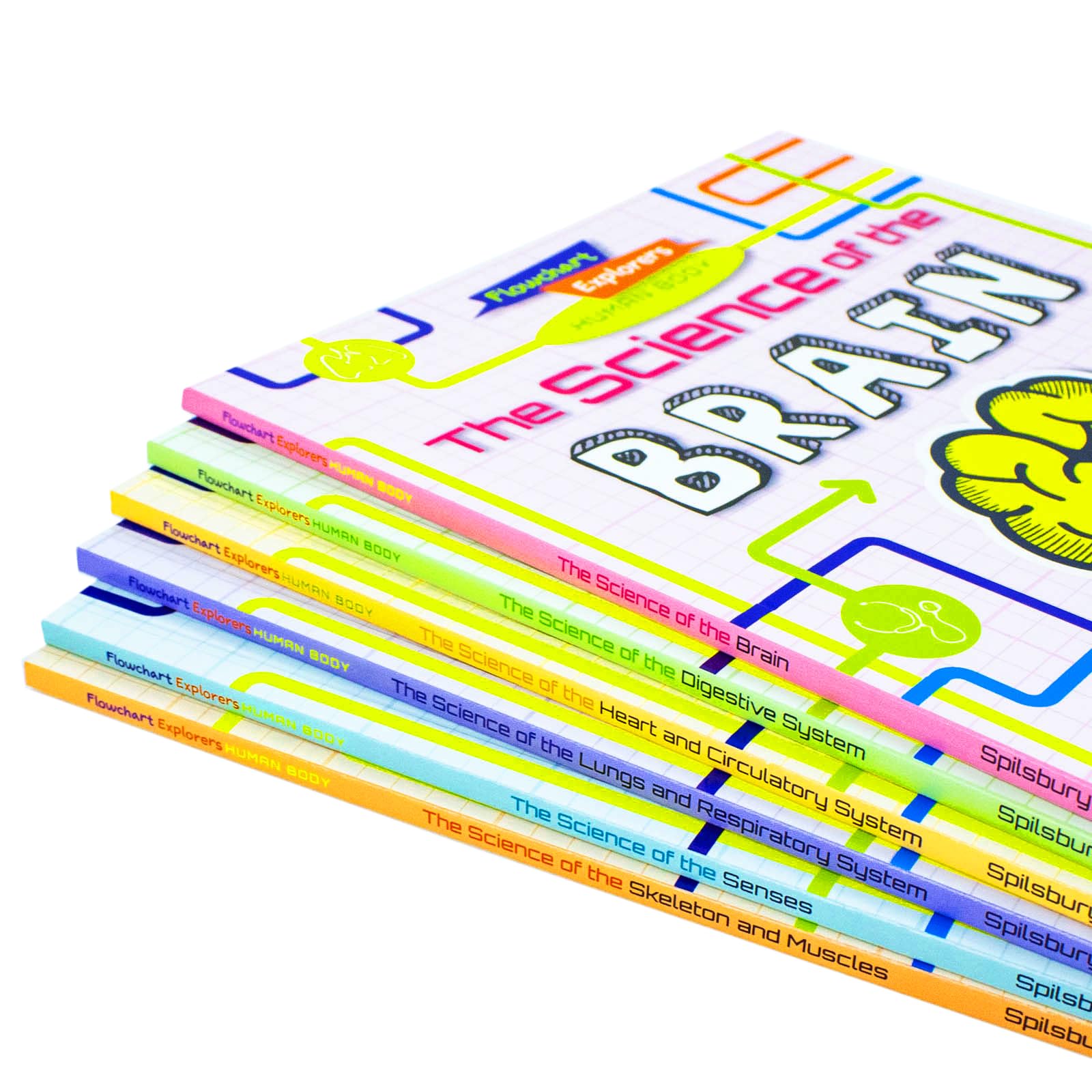 close-up of The Brain paperback cover from the Flowchart Explorers Human Body set