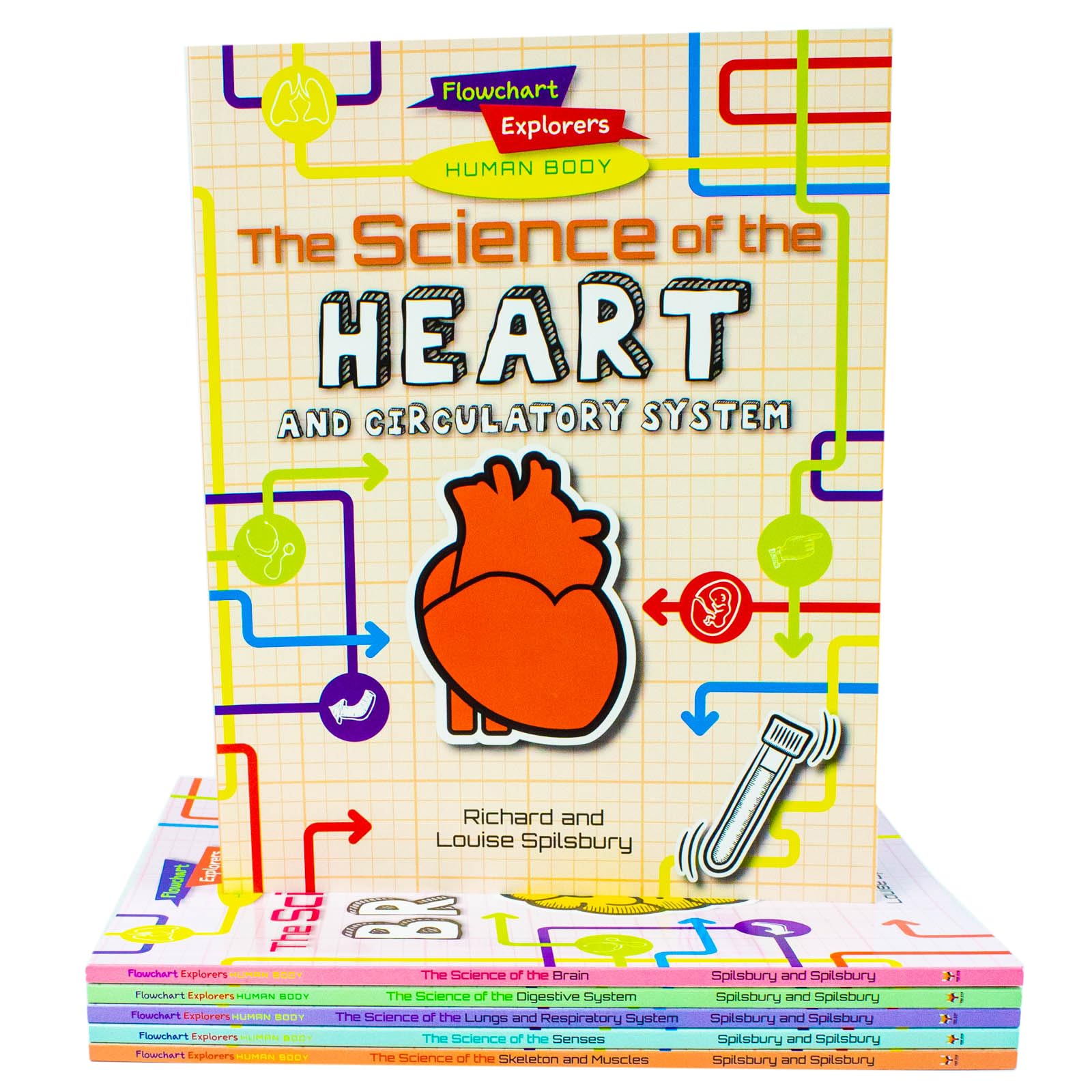 inside page spread showing flowchart diagrams explaining the senses and sensory organs