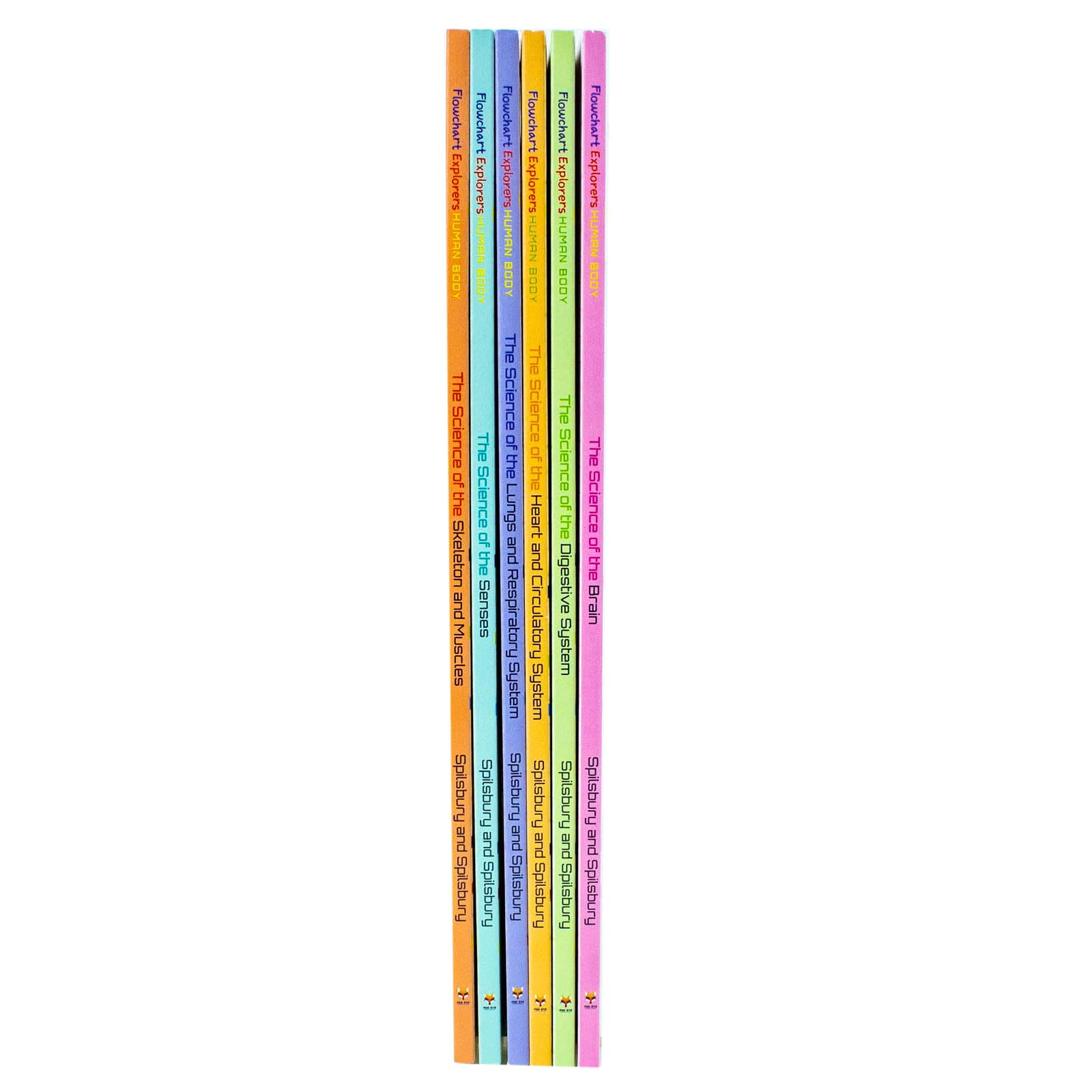 the complete 6-book paperback set stacked together showing spine and cover design