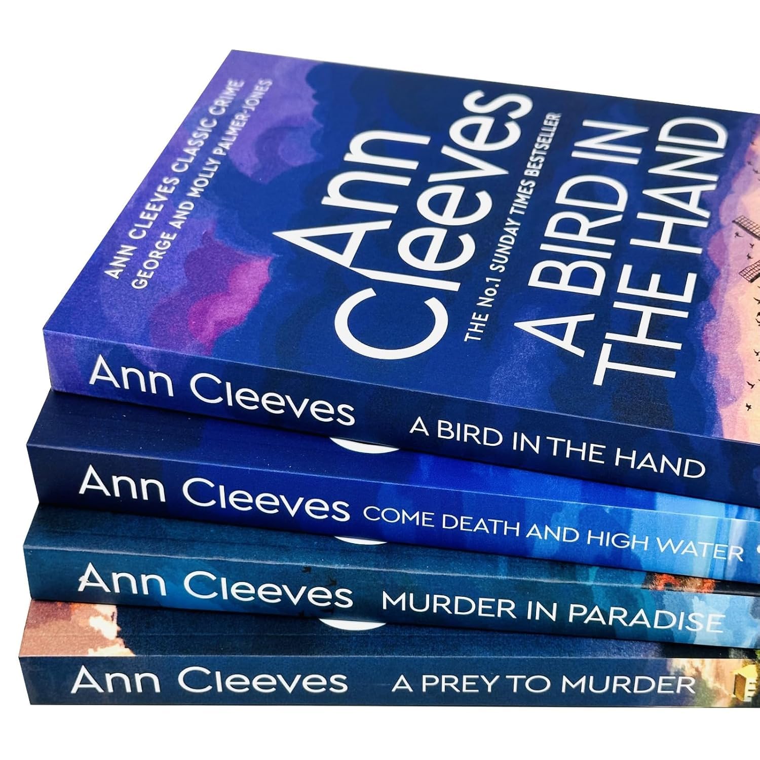 Come Death and High Water by Ann Cleeves, paperback cover from the Palmer-Jones mystery set