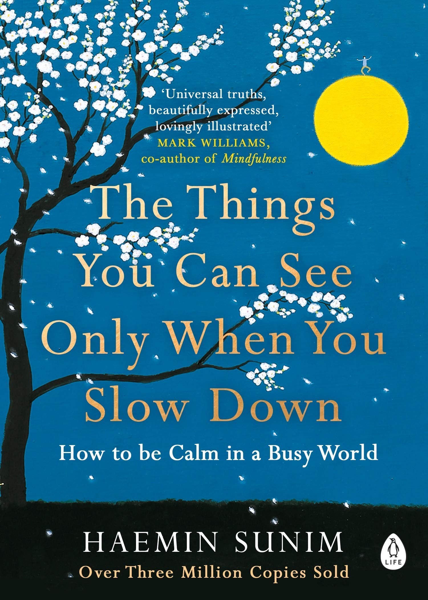 Both paperback titles from the Haemin Sunim 2 Books Collection Set displayed together, showcasing the matching Penguin Life non-fiction mindfulness set.