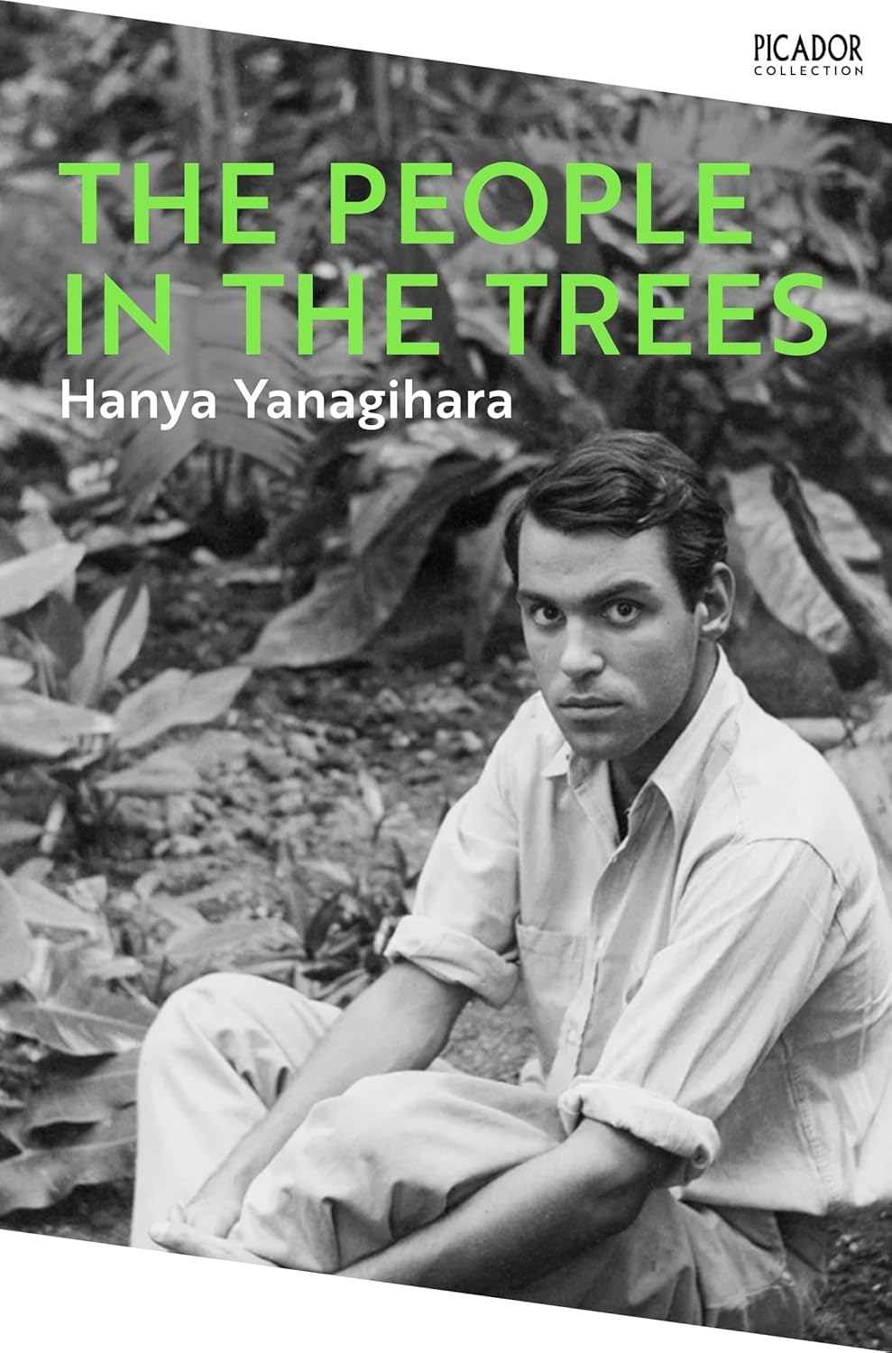 Back cover synopsis of A Little Life paperback by Hanya Yanagihara