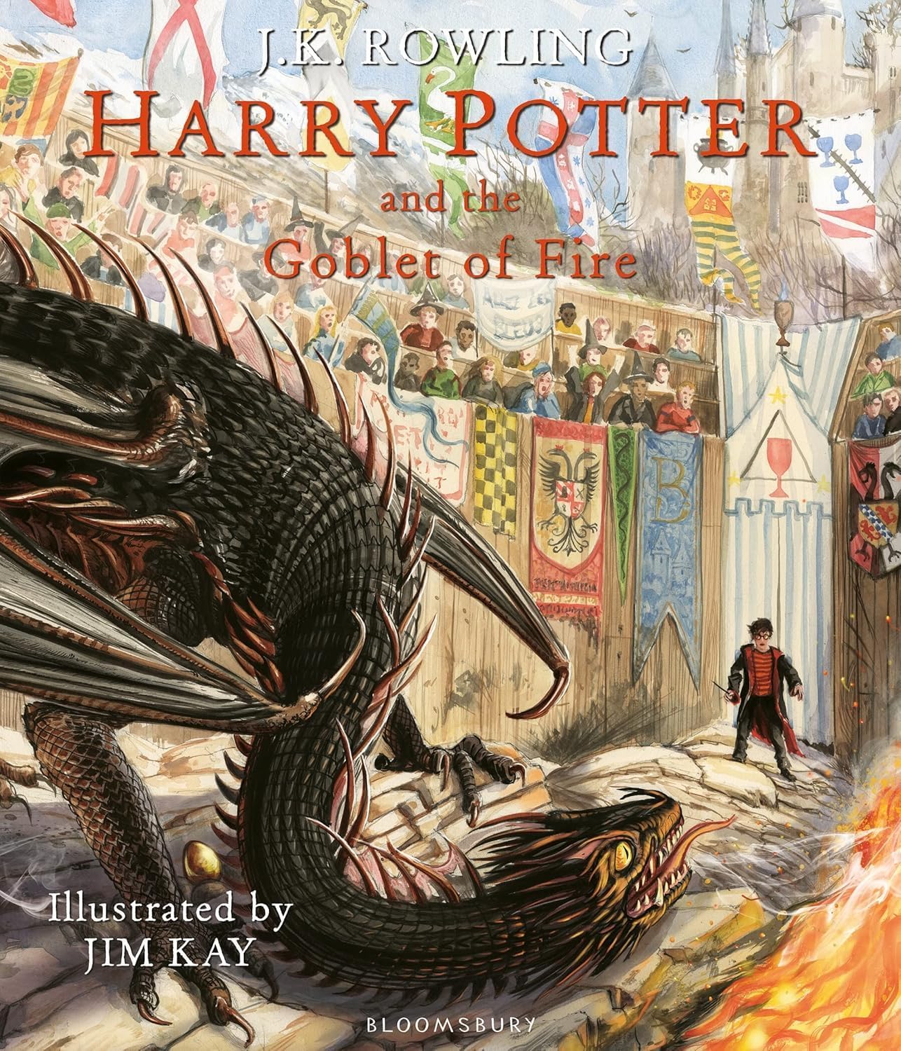 Harry Potter Illustrated Edition hardback set standing upright, displaying both Goblet of Fire and Order of the Phoenix spines and covers together.
