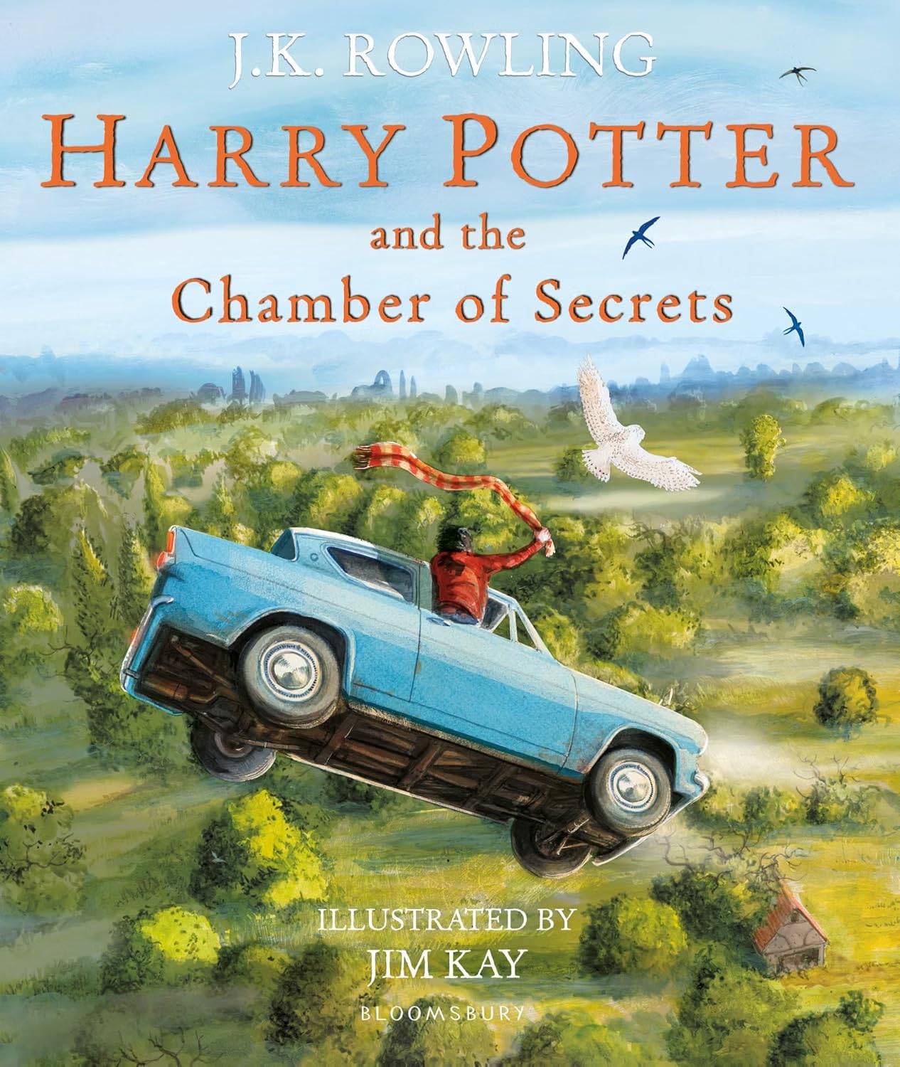 Harry Potter Illustrated Edition 4 Books Hardback Collection by J.K. Rowling and Jim Kay - close-up of Jim Kay's illustrated cover artwork