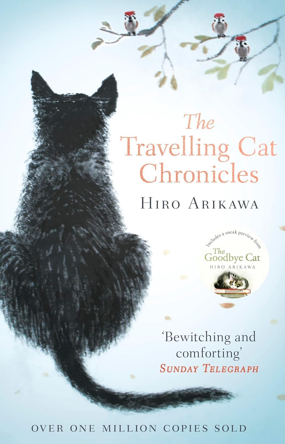 The Travelling Cat Chronicles and The Goodbye Cat paperback set by Hiro Arikawa shown together