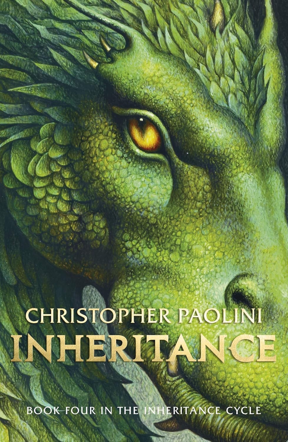Back cover synopsis view of the Inheritance Cycle paperback boxed set spines and blurb text