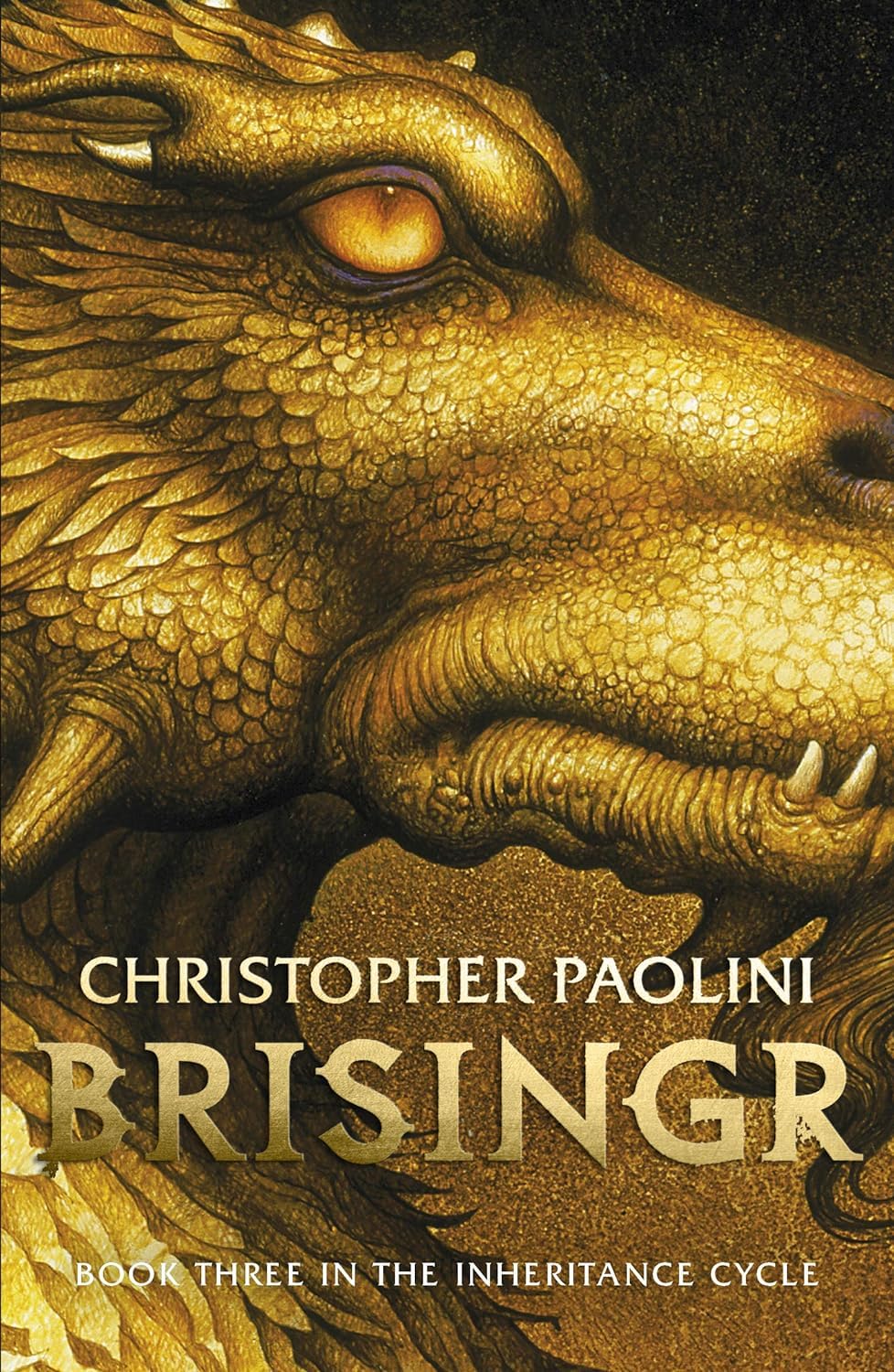 Stacked paperback copies of the Inheritance Cycle 4 book collection by Christopher Paolini, Corgi edition