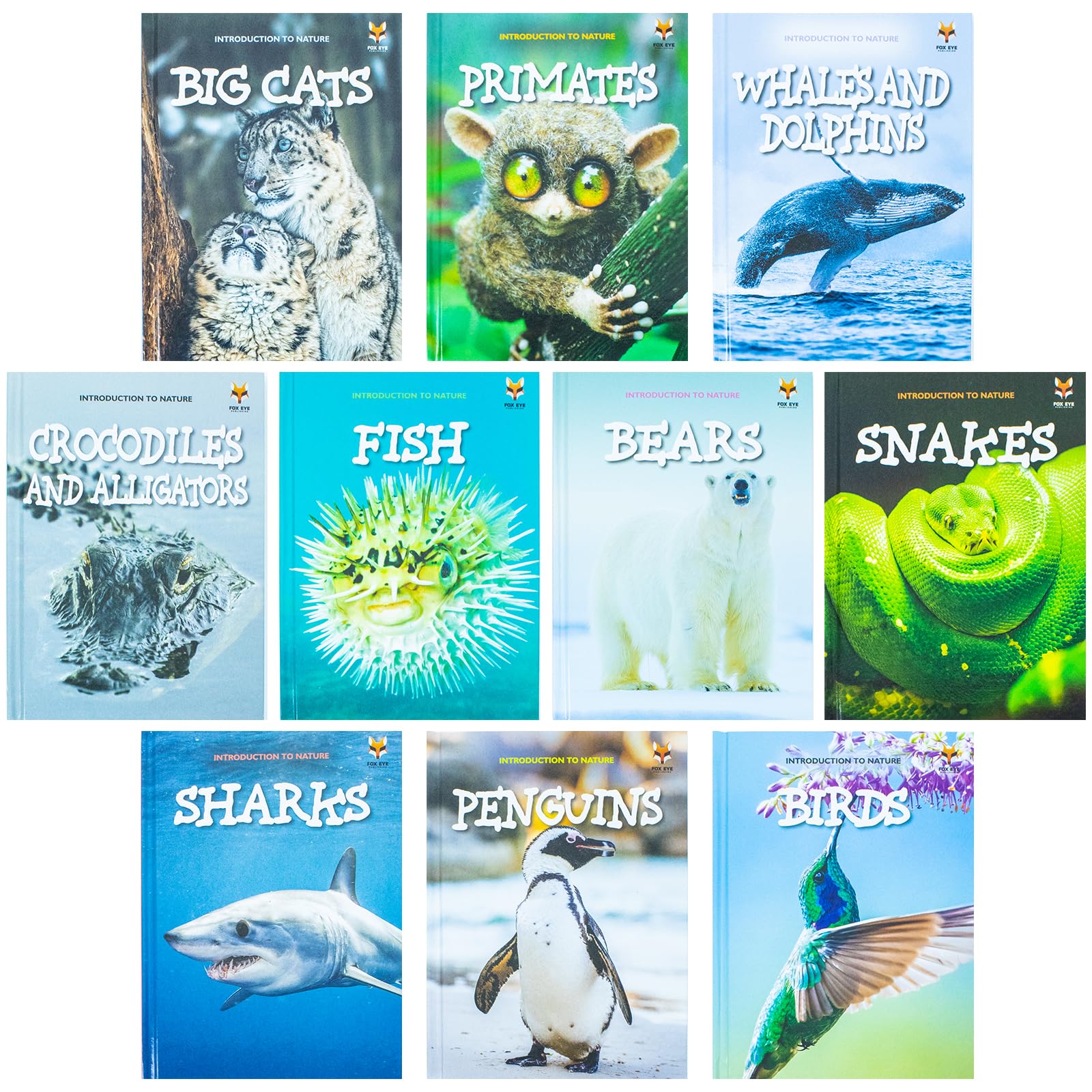 Introduction to Nature 10-book hardback set arranged in a stack, showing the spines and titles for ages 7-11.