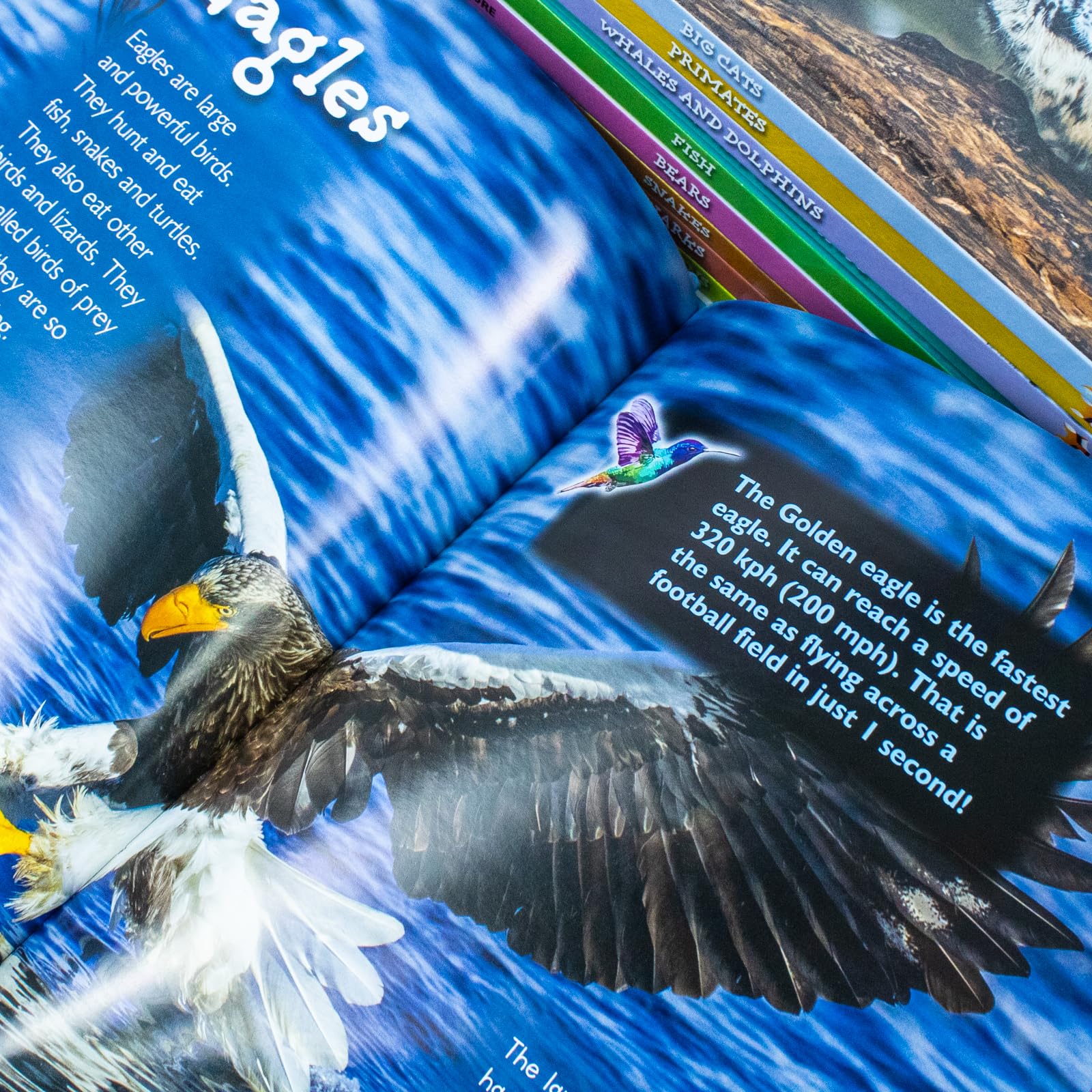 Full Introduction to Nature 10-book hardback set laid flat, showing the complete Fox Eye Publishing collection for ages 7-11.